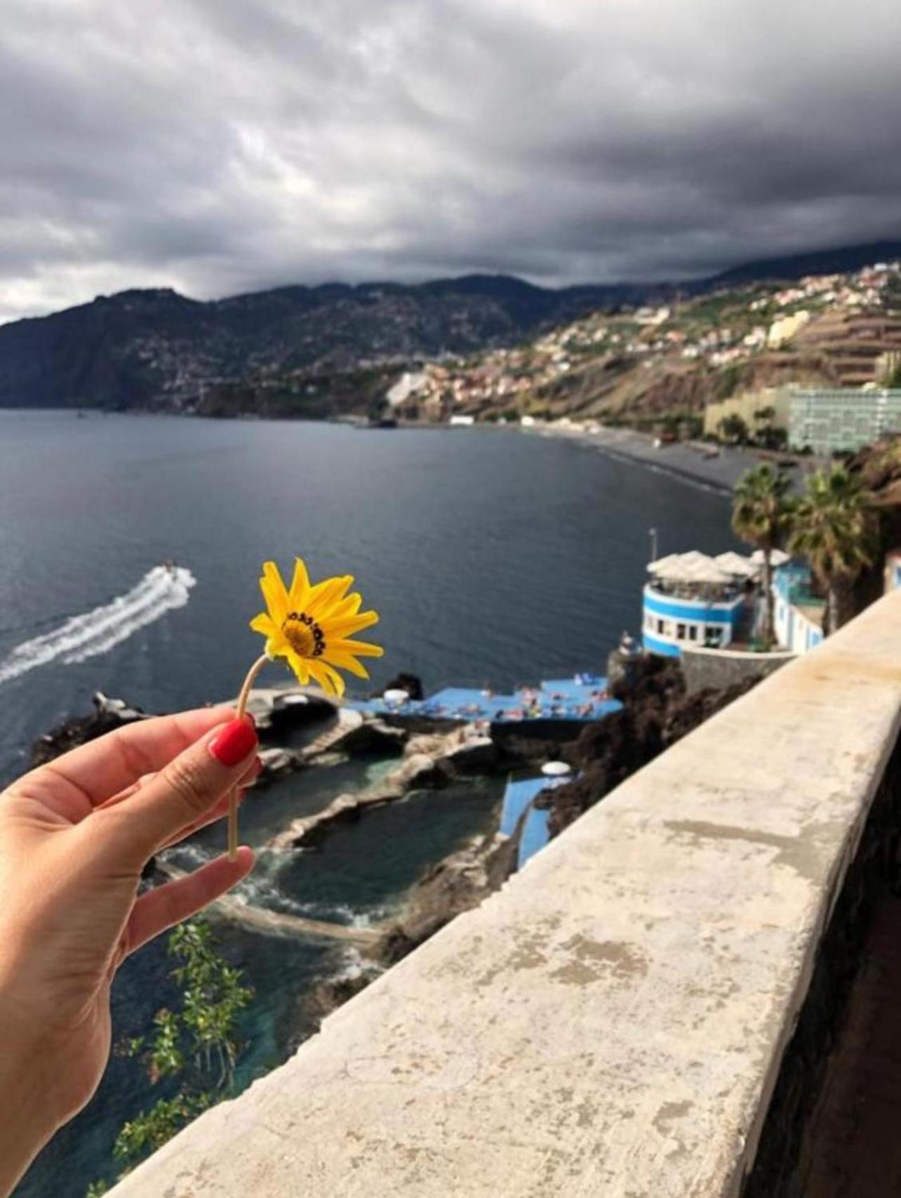 Duas Torres View * Funchal (Madeira)