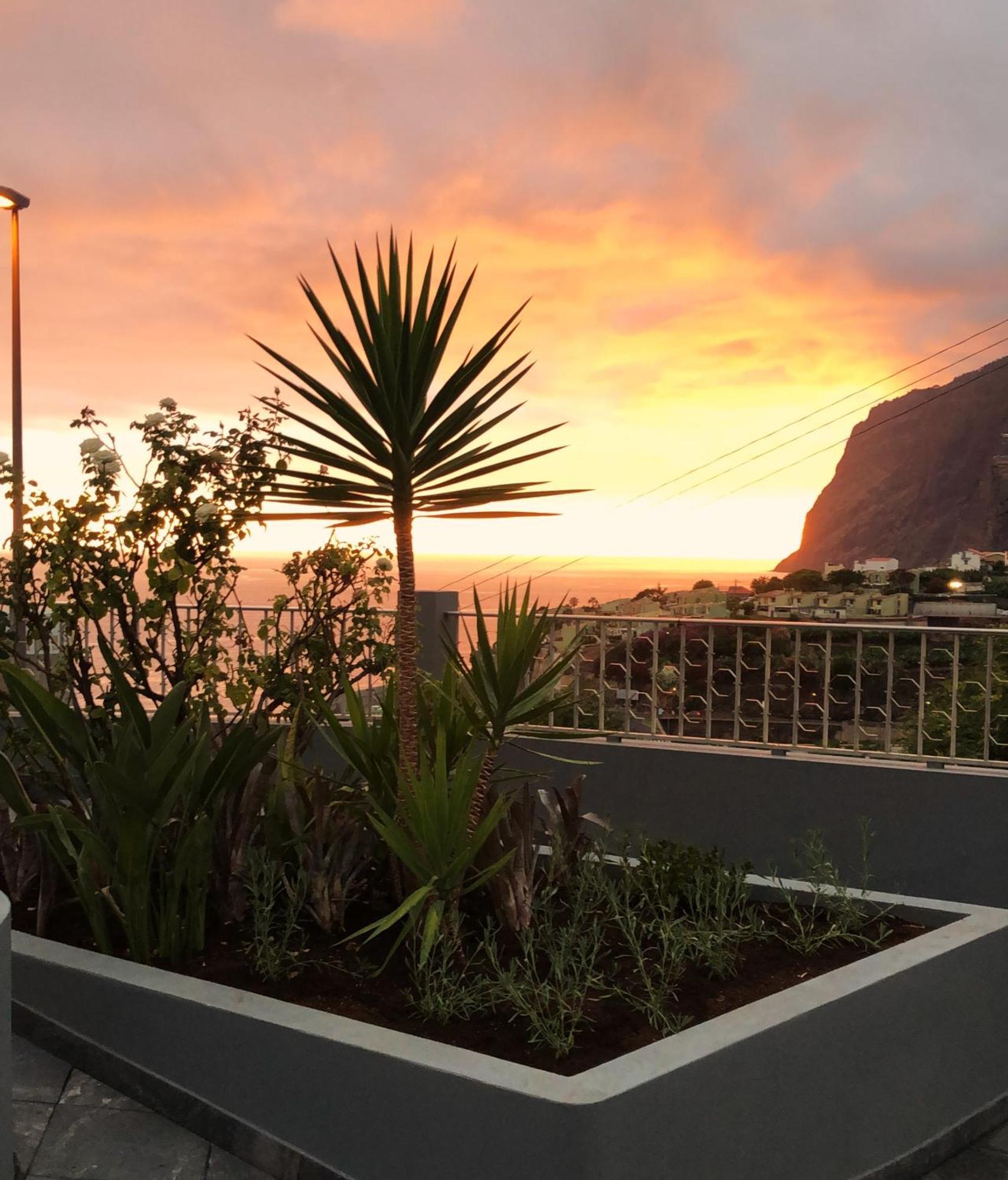 Appartement Oasis -