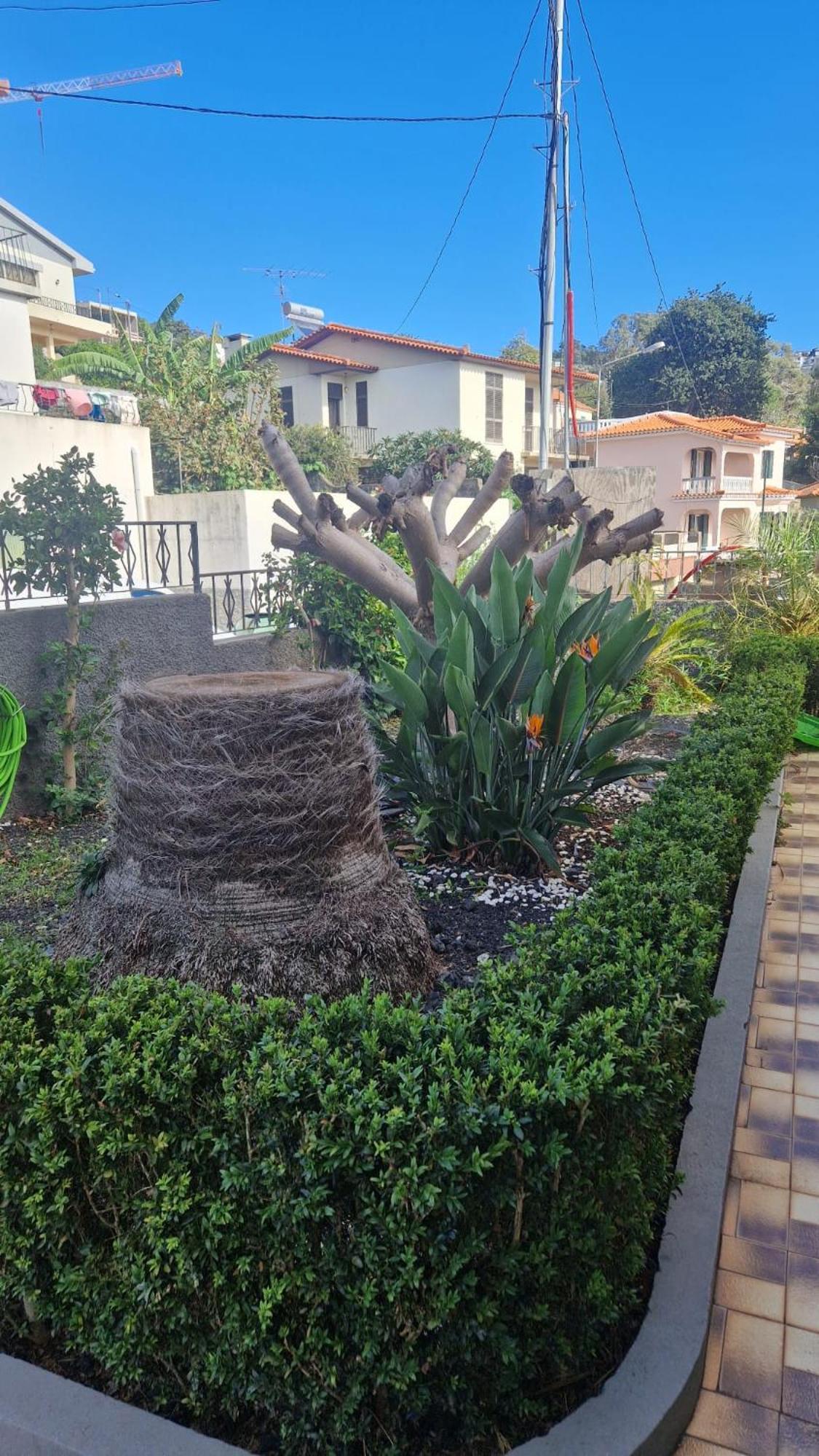Holiday home Boa Nova