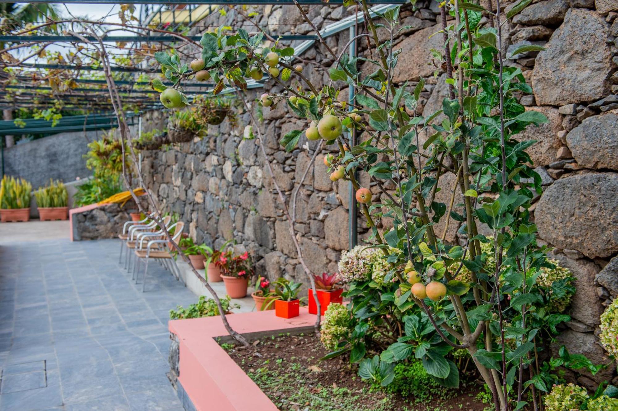 Countesses Holiday home Camara de Lobos