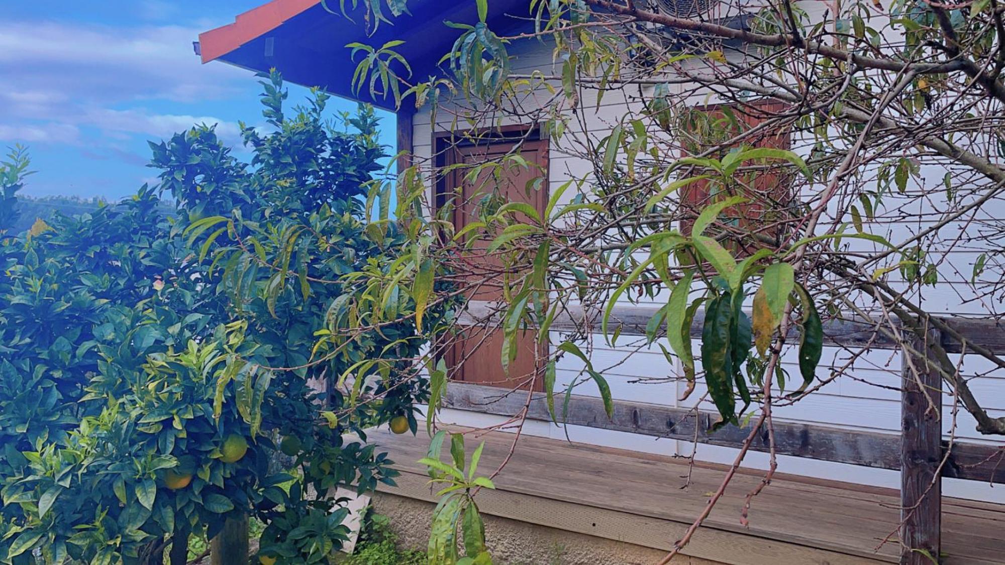 Guest house Jantesta Coimbra