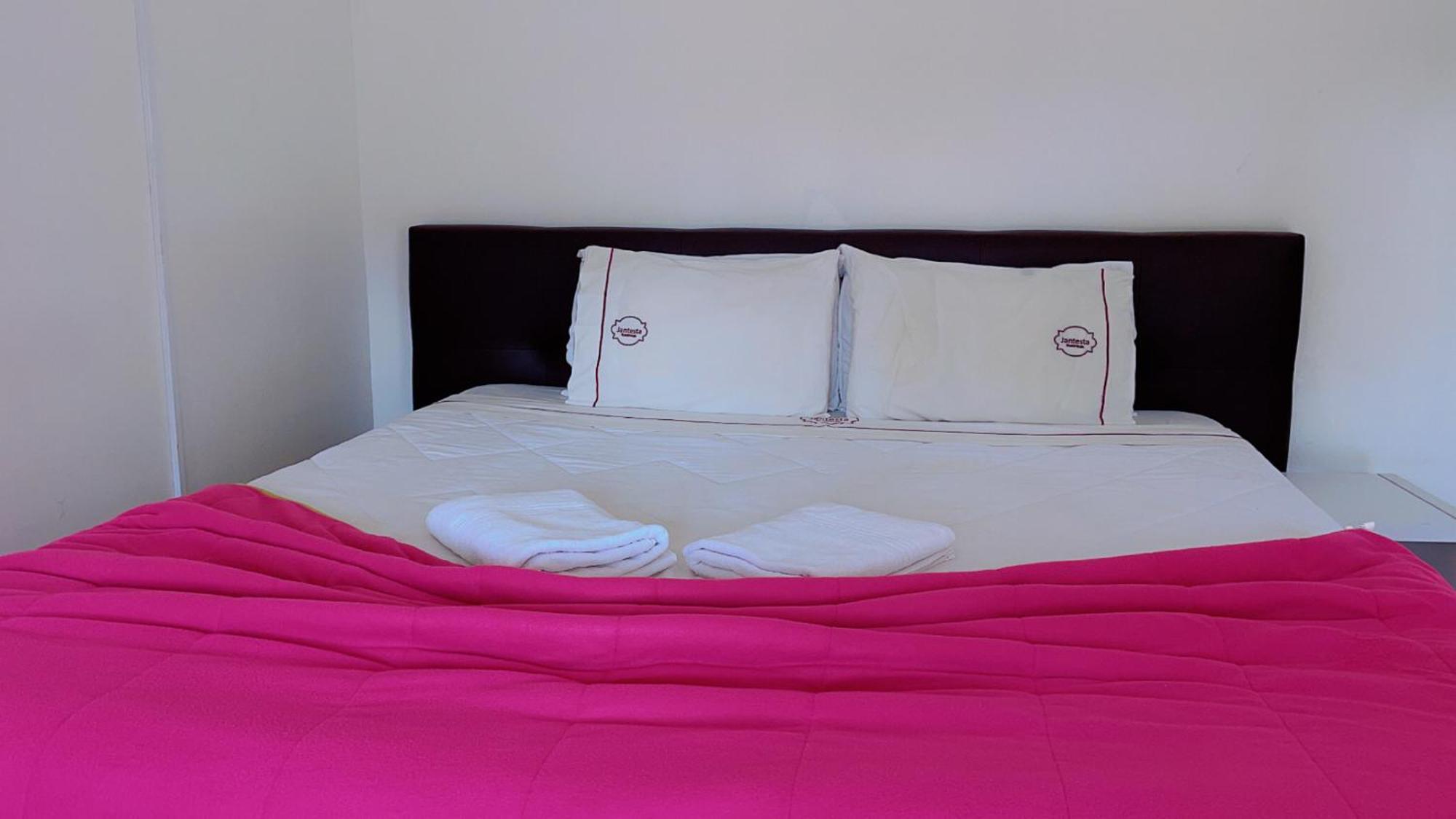 Guest house Jantesta *