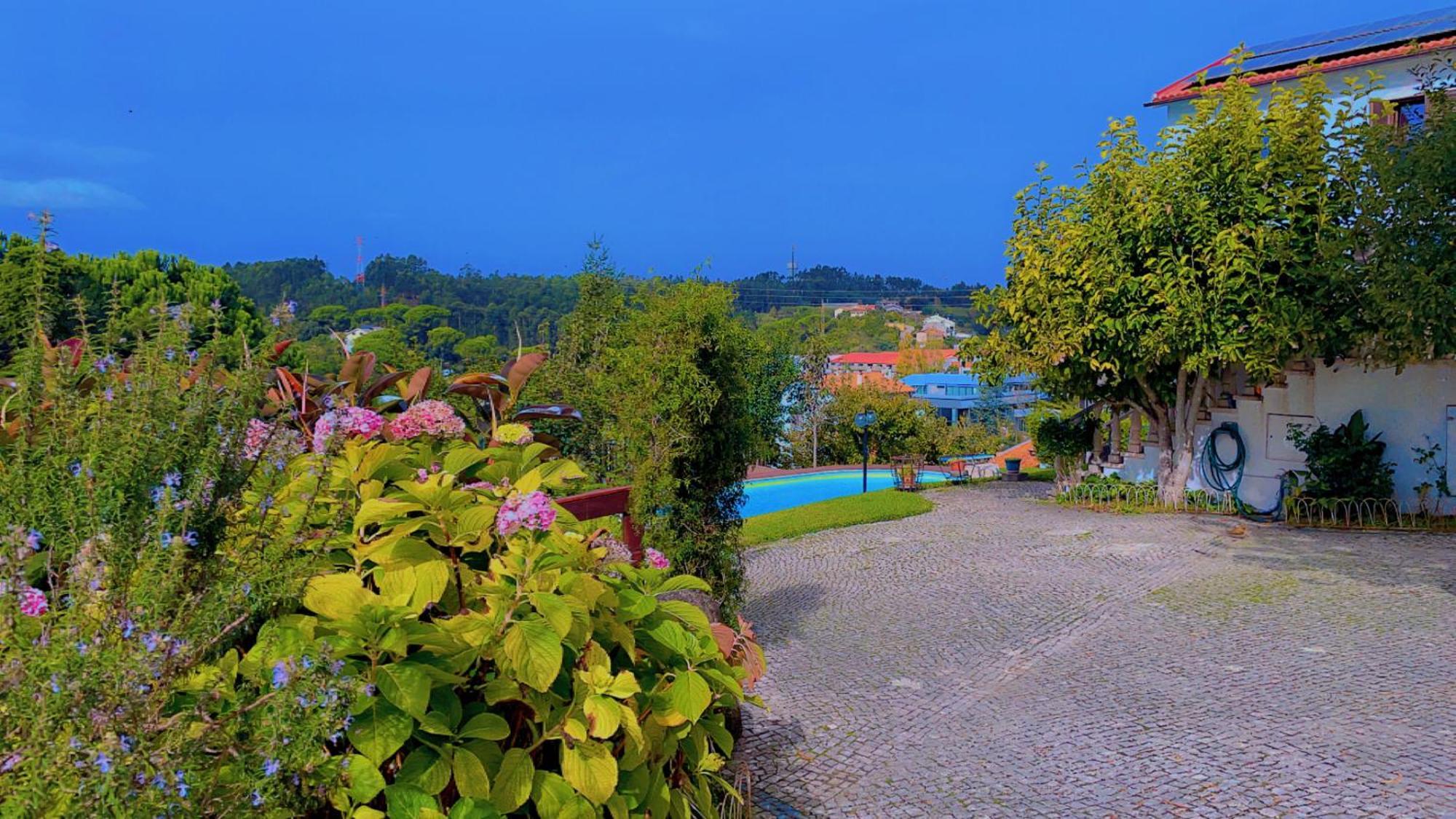 Guest house Jantesta *