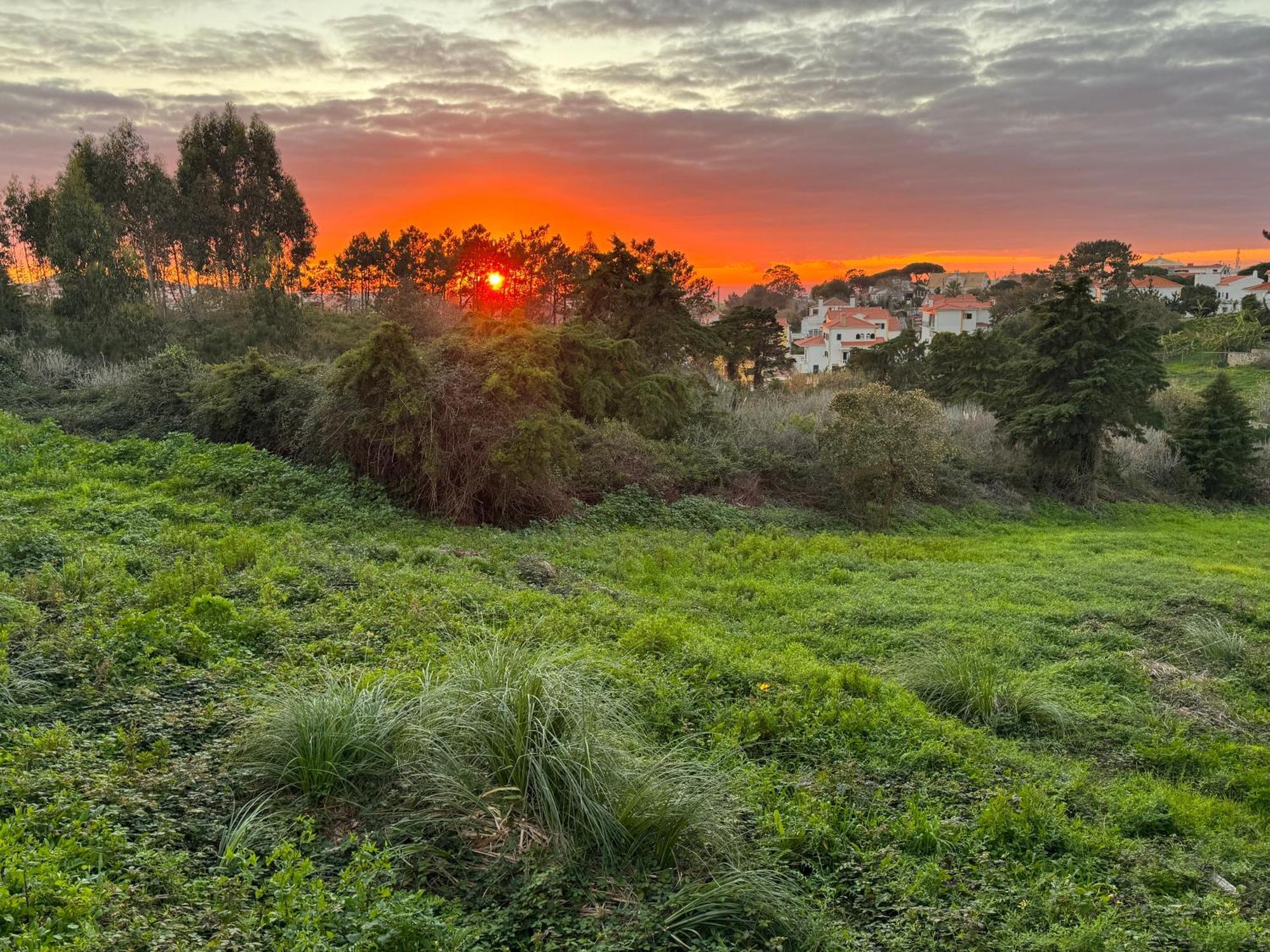 Boutique - O House Hills Bed & Breakfast Ericeira