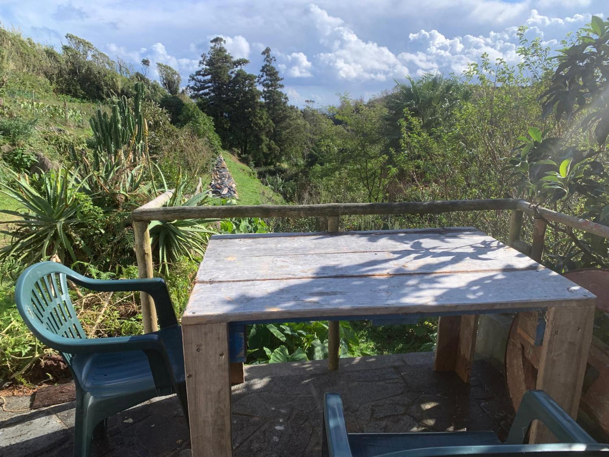 Homestay House With Forest View