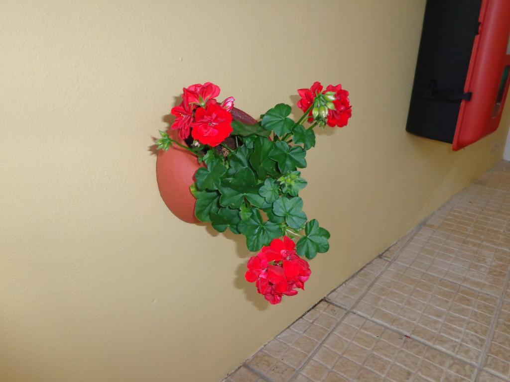 Rosa Dos Ventos Bed & Breakfast 3*