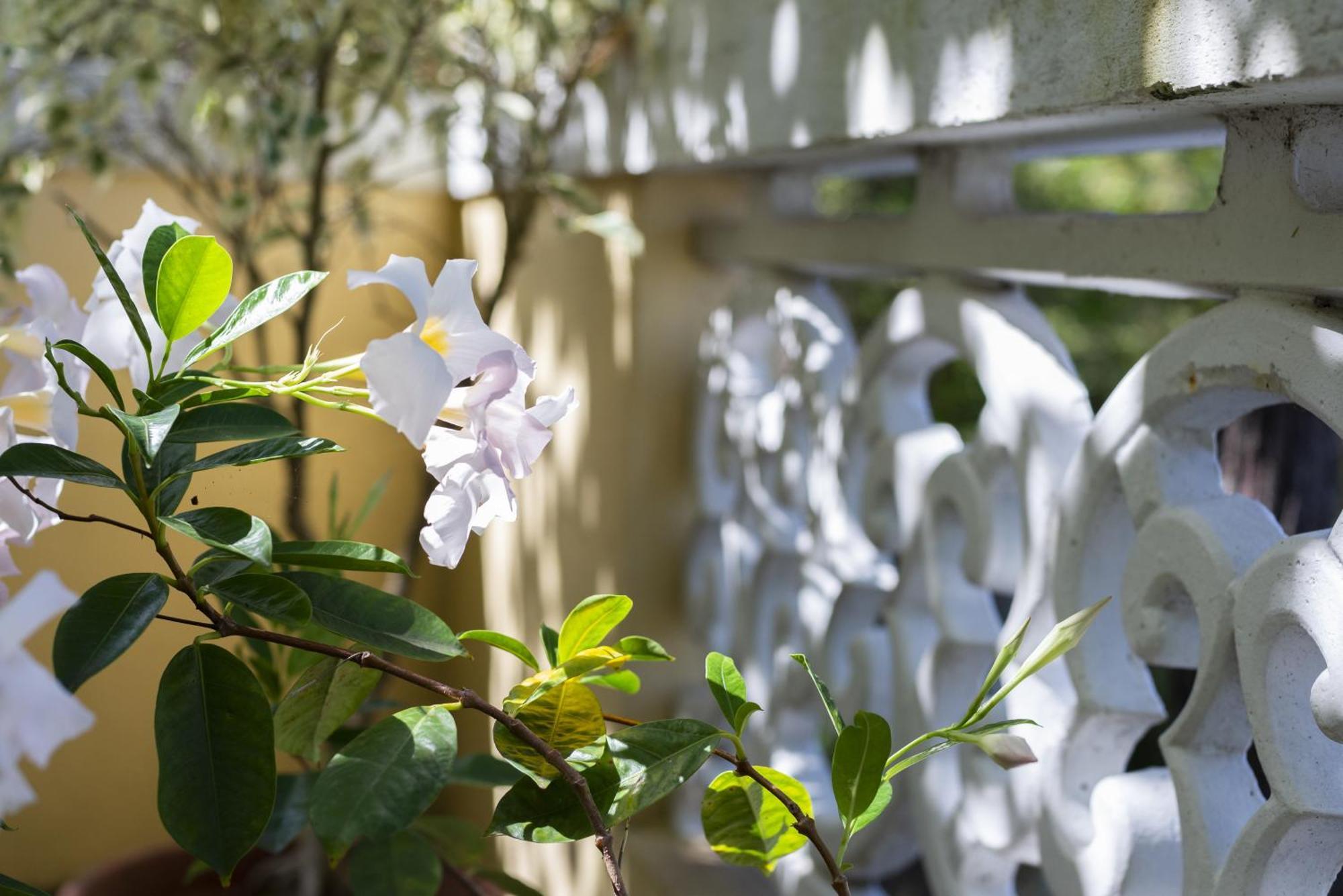 Farm stay Quinta Hortensias *