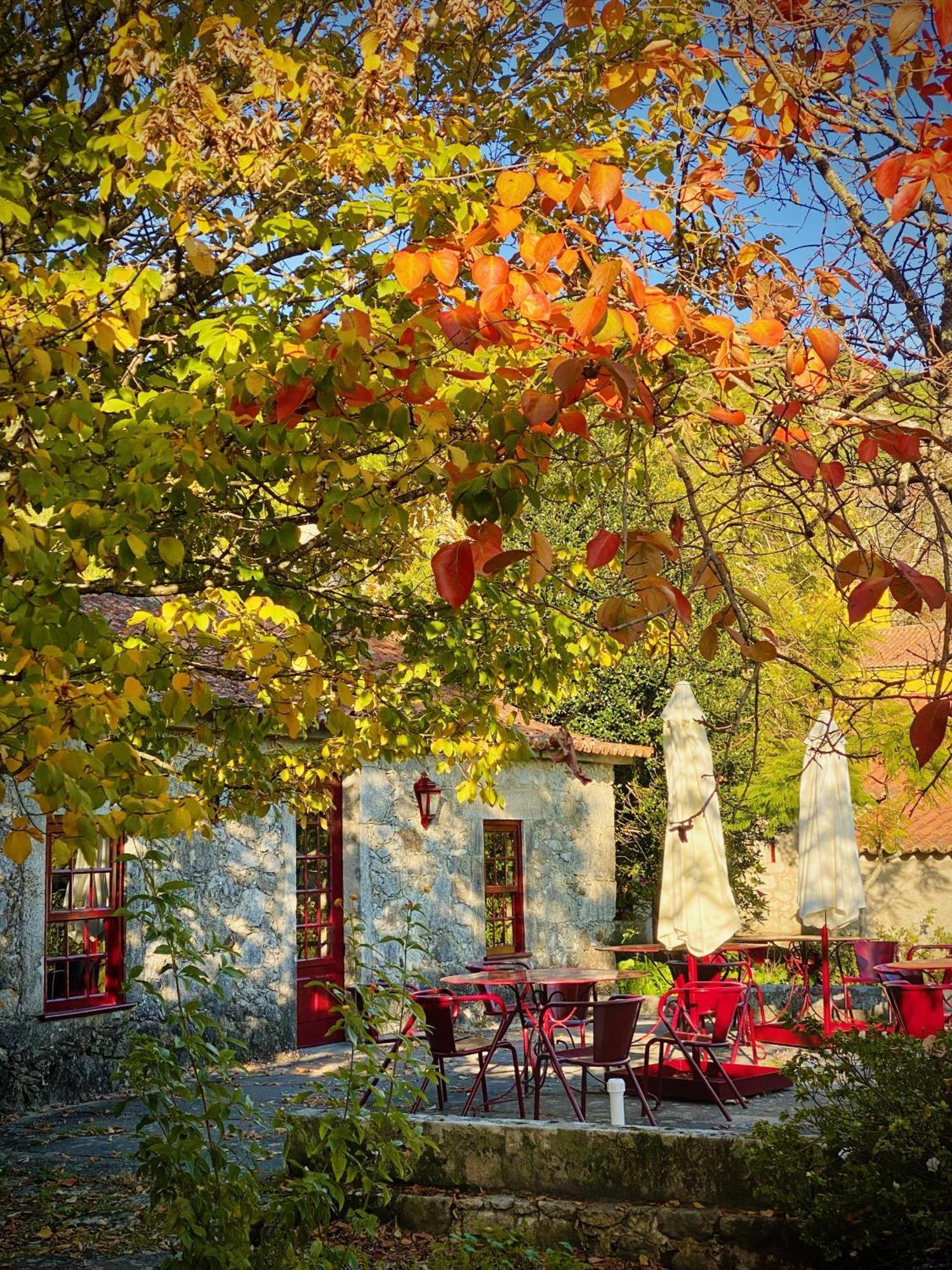 Quinta Da Boa Viagem * Viana do Castelo