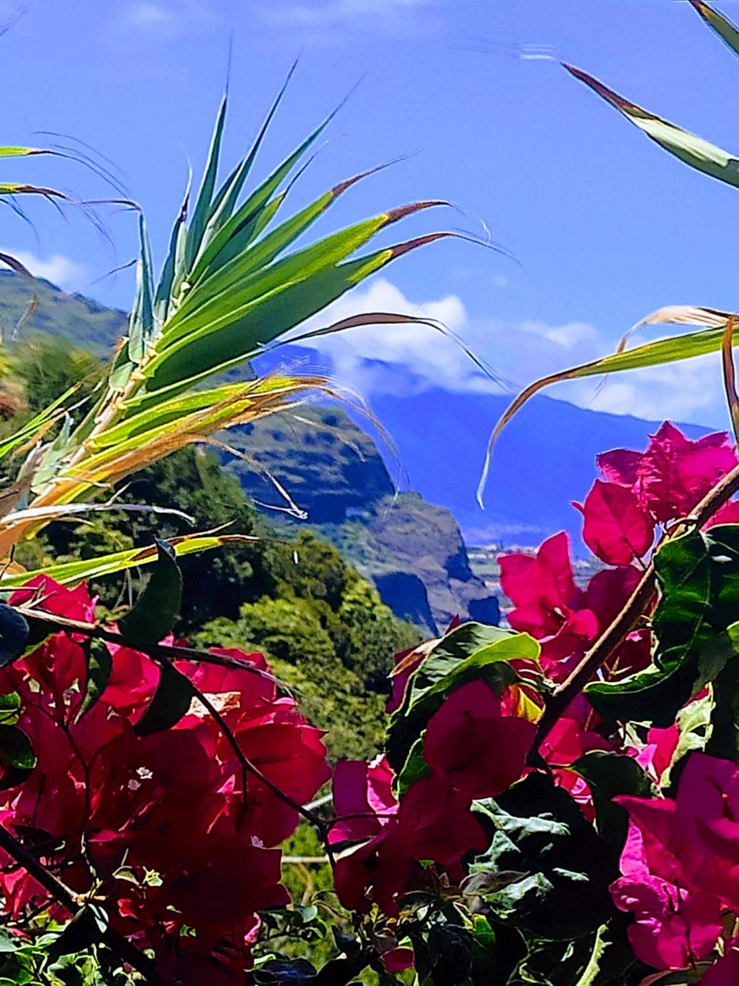 Bluegreen * Arco da Calheta (Madeira)