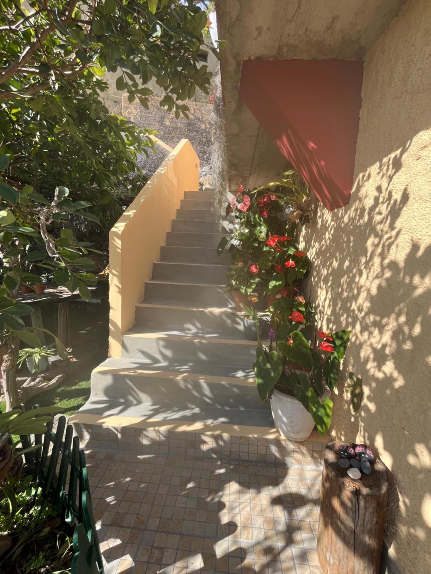 Tropical House Vakantiehuis