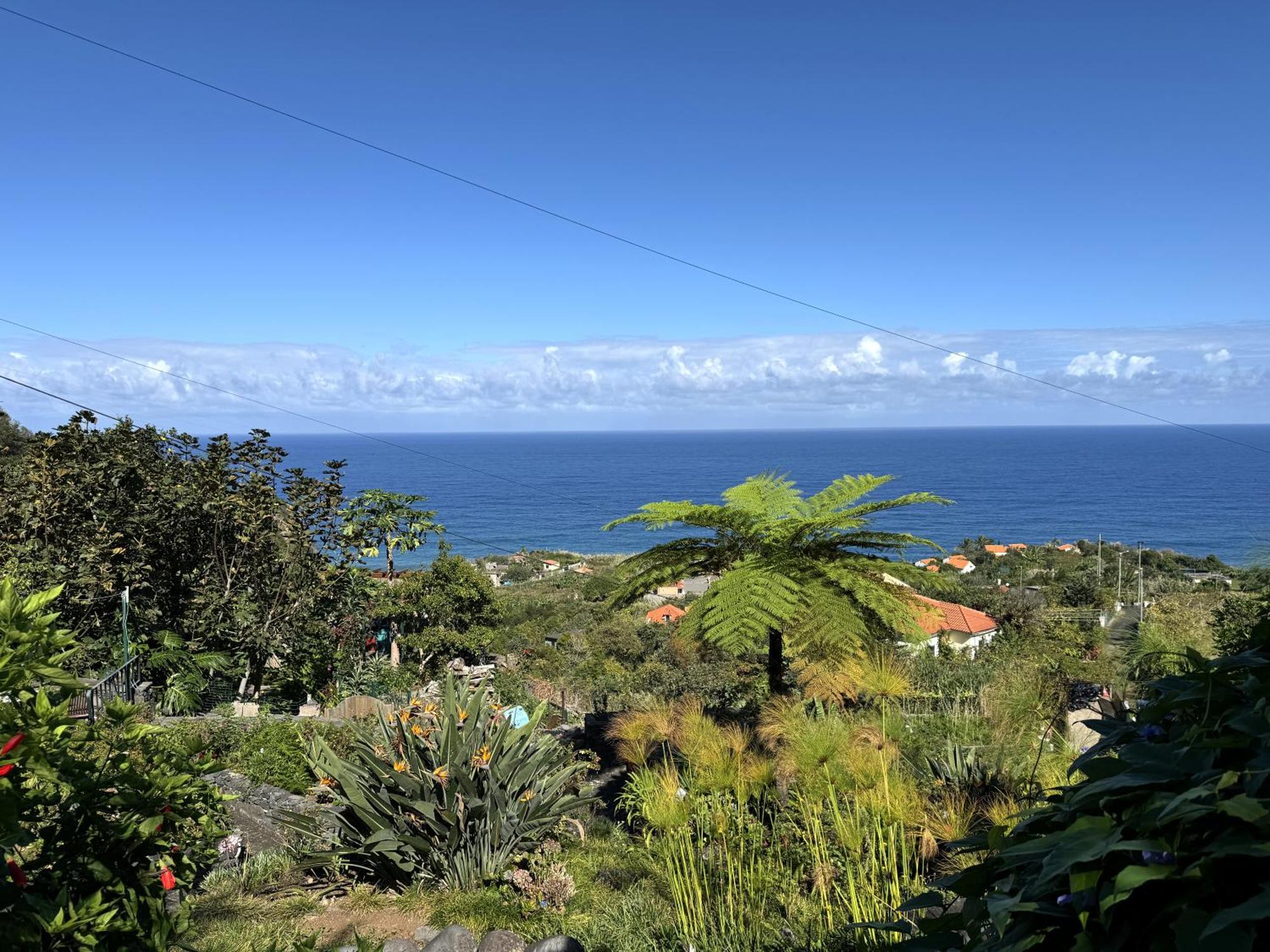 Quinta Hortensias Farm stay *