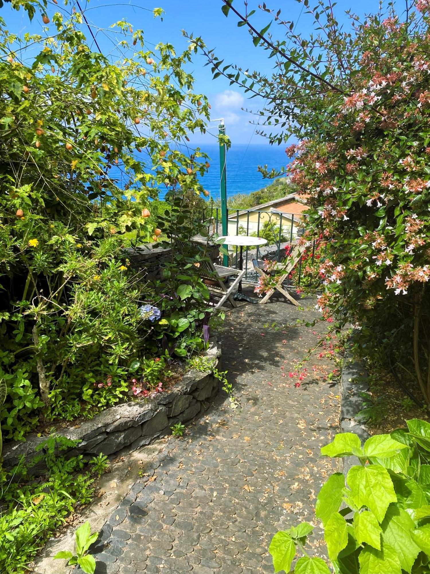Quinta Hortensias Farm stay