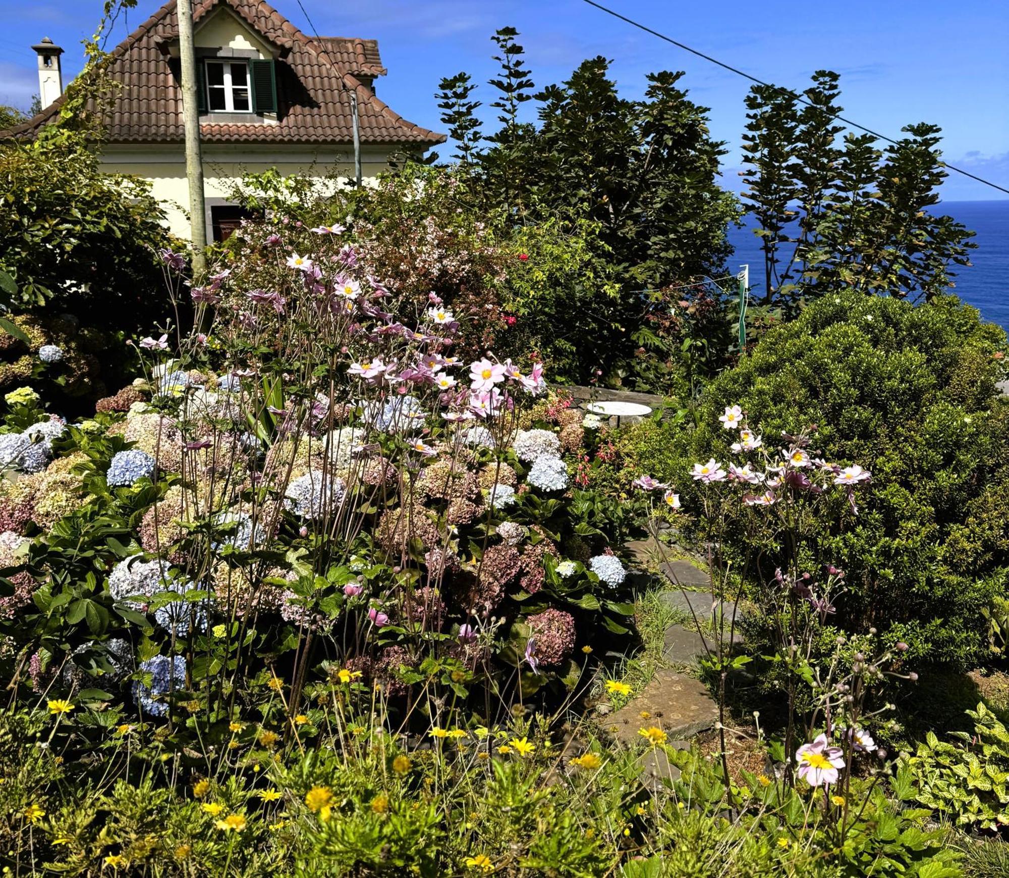 Quinta Hortensias Farm stay