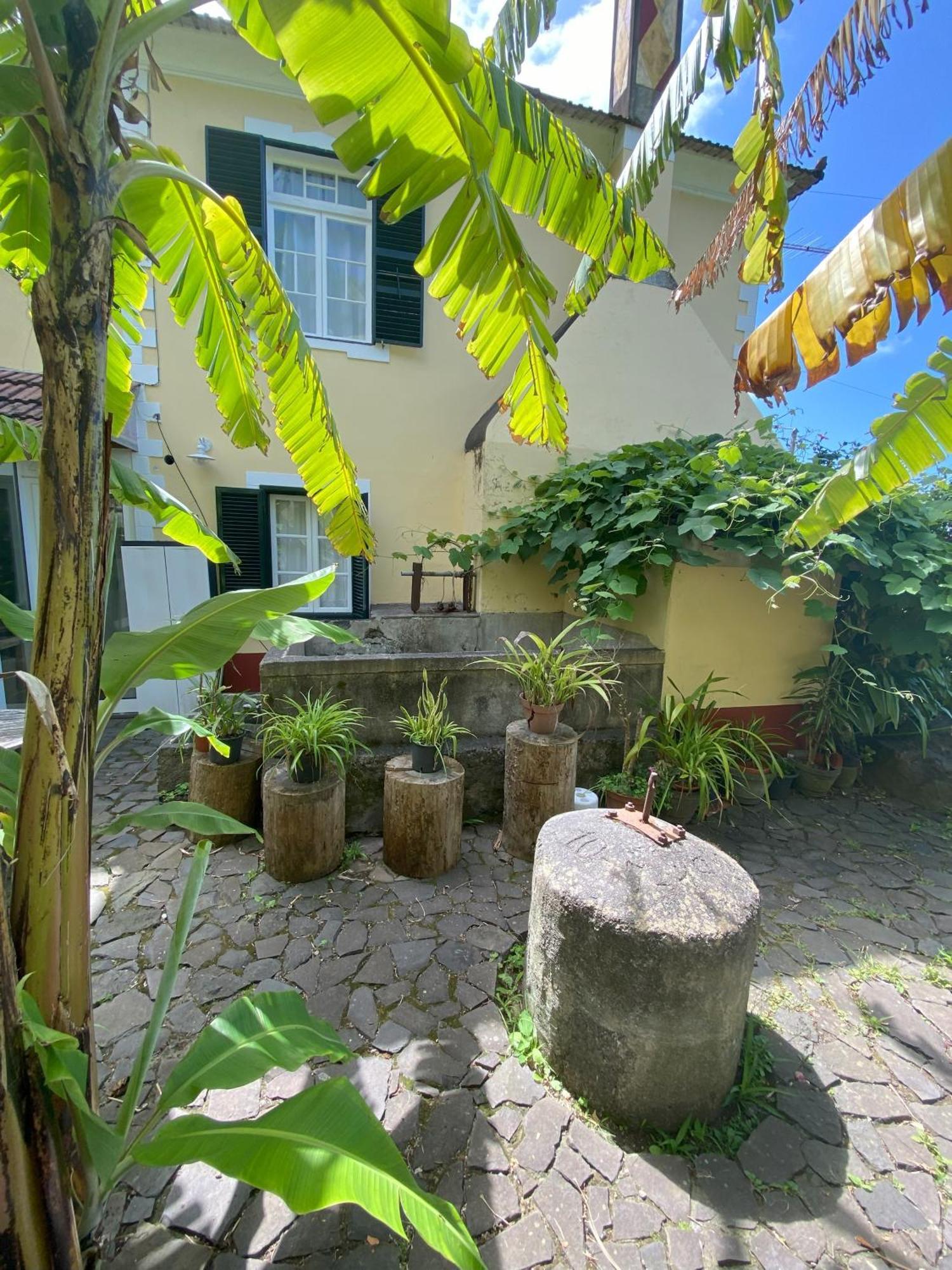 Farm stay Quinta Hortensias *