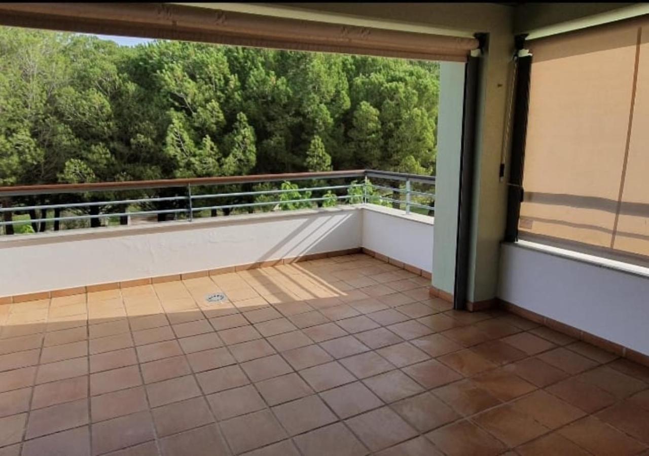 Apartment Belleview