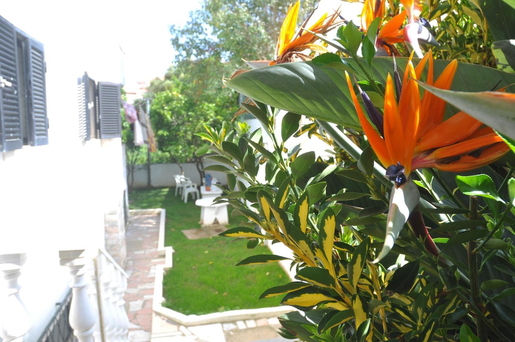 Manelisa Bed & Breakfast Cascais