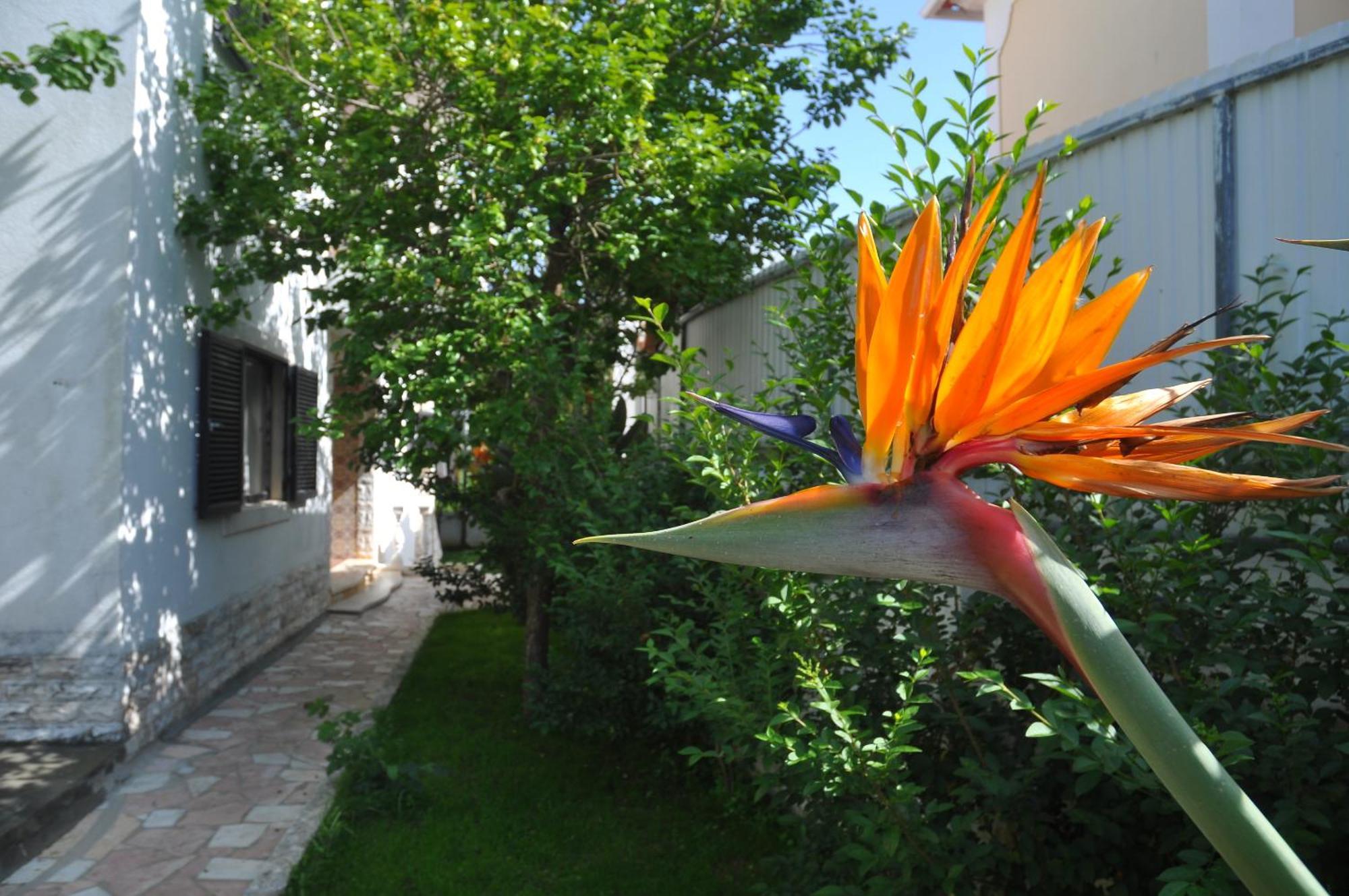 Bed & Breakfast Manelisa