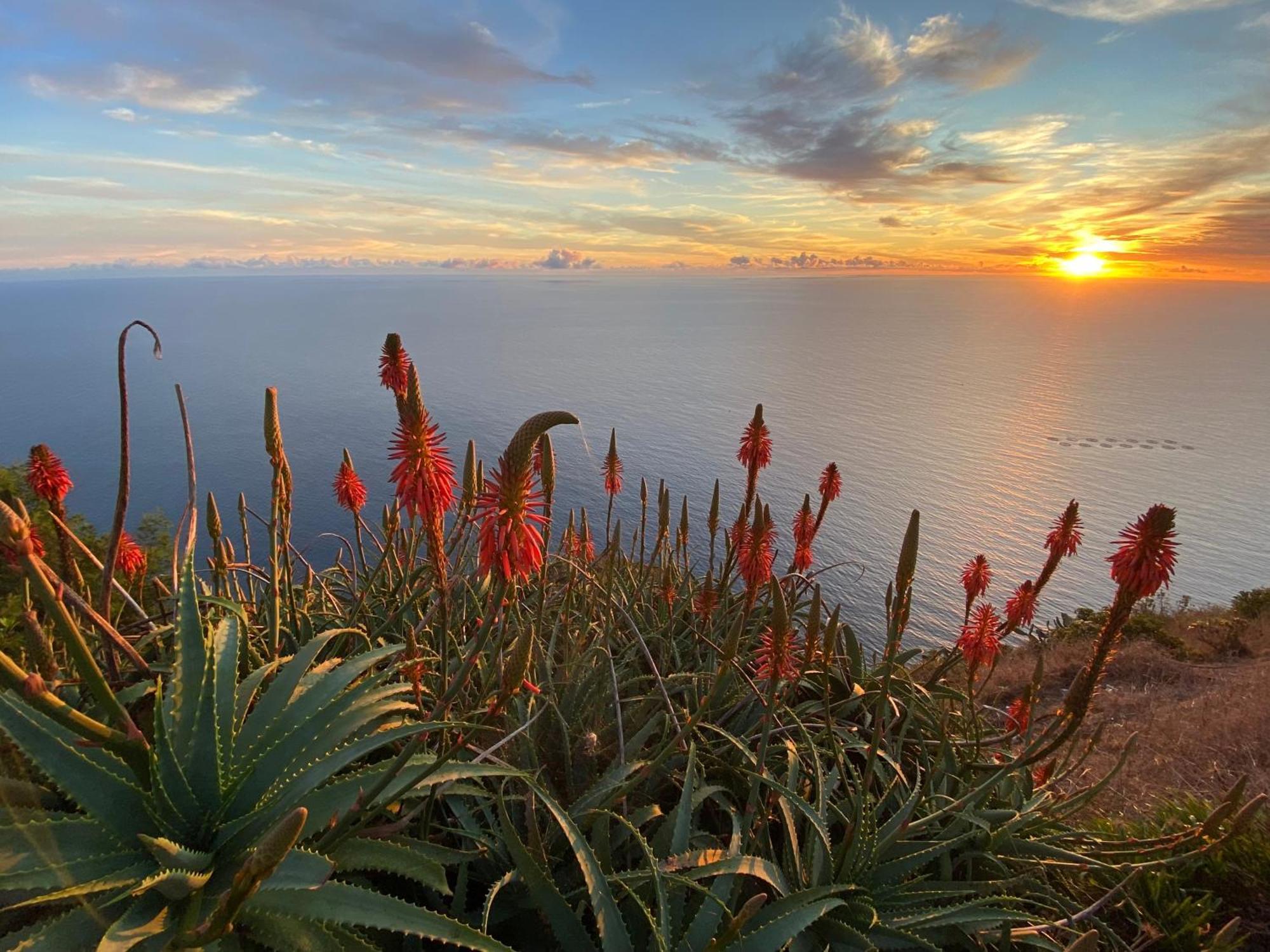 Harbour Sea View House Holiday home Funchal (Madeira)