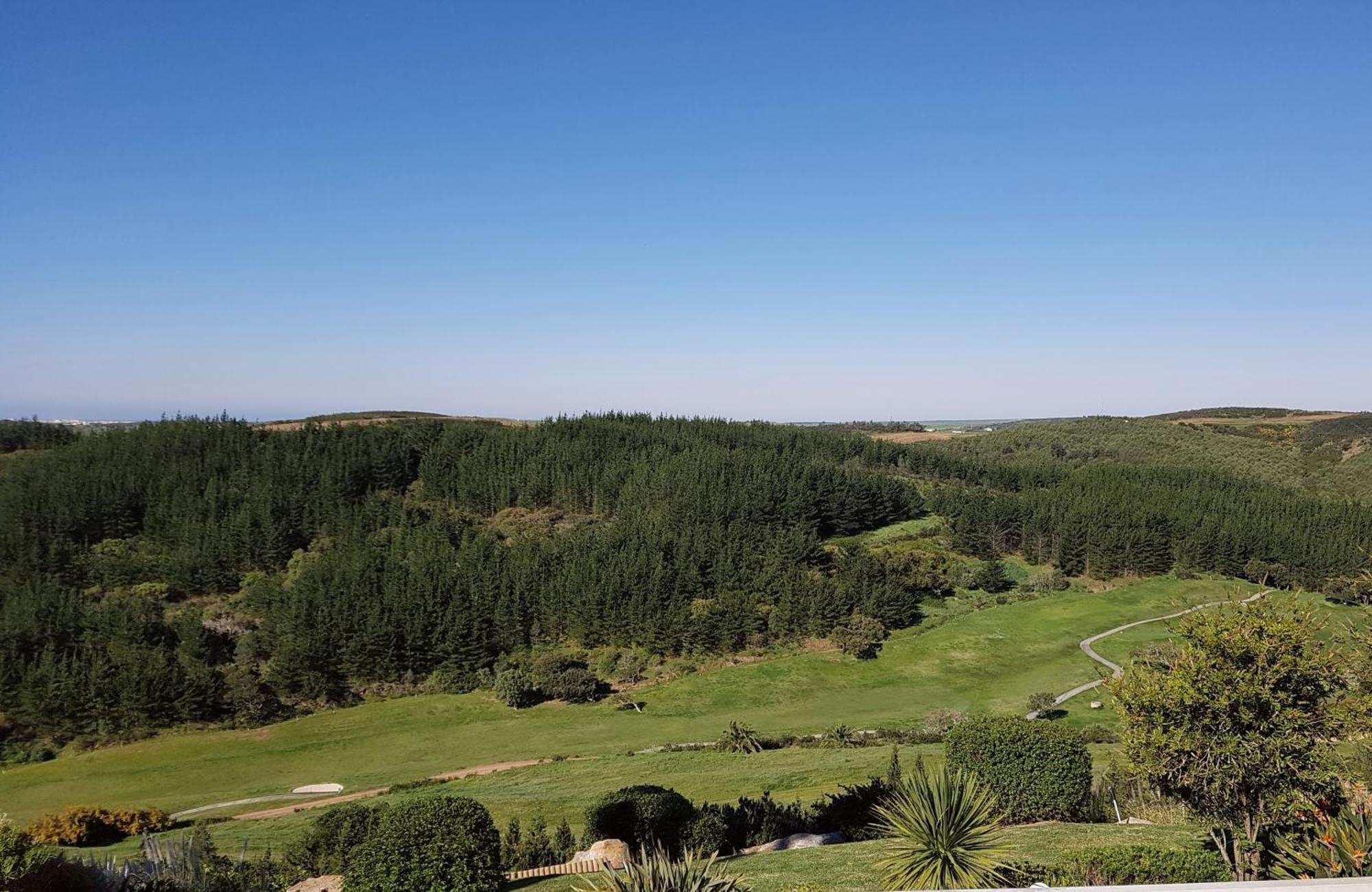 Stunning With Pool & View Near *