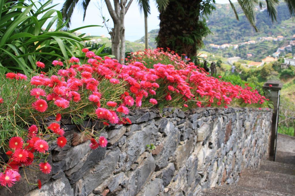 Quinta Da Capela Guest house