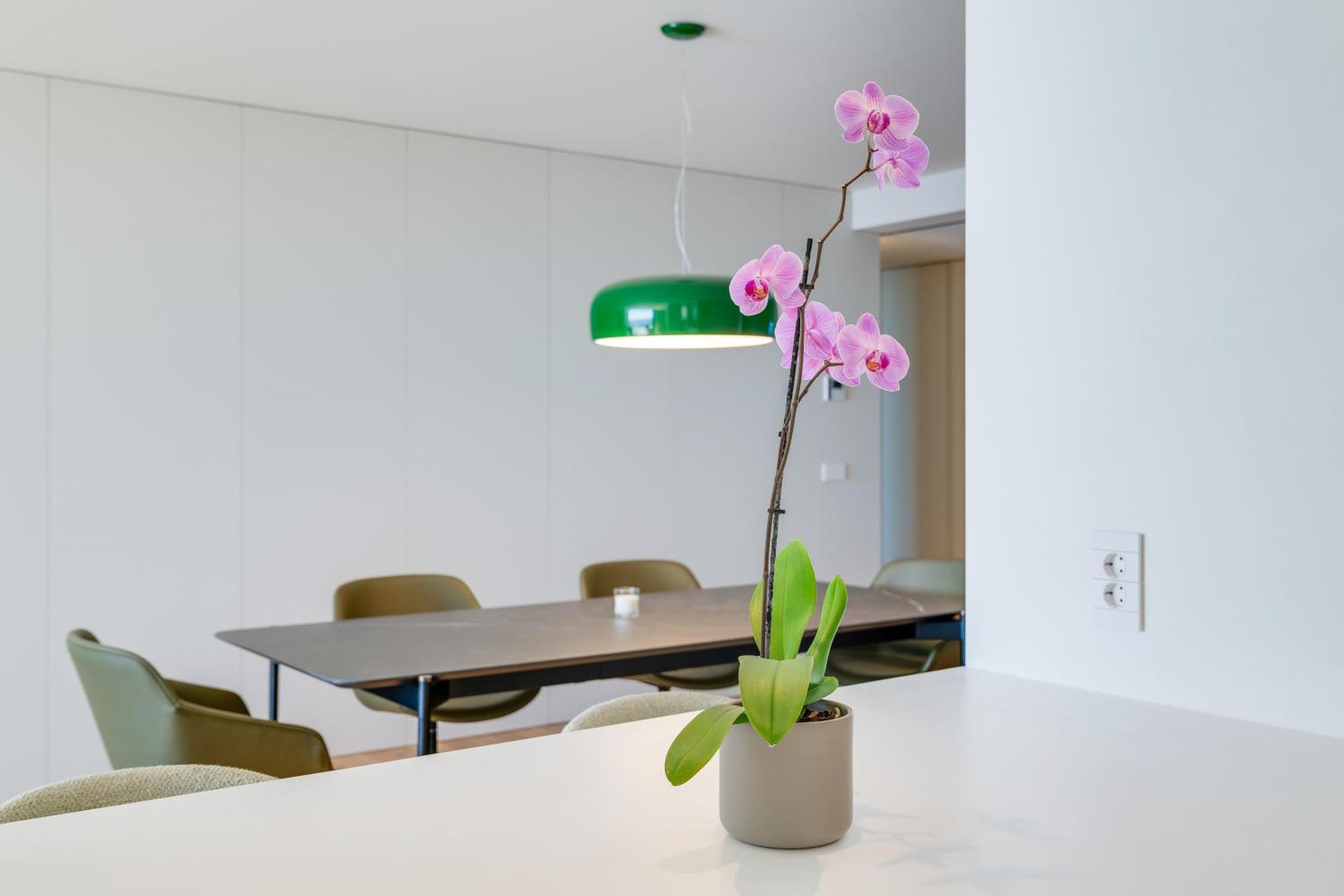 Apartment Rjs Savoy Monumentalis *