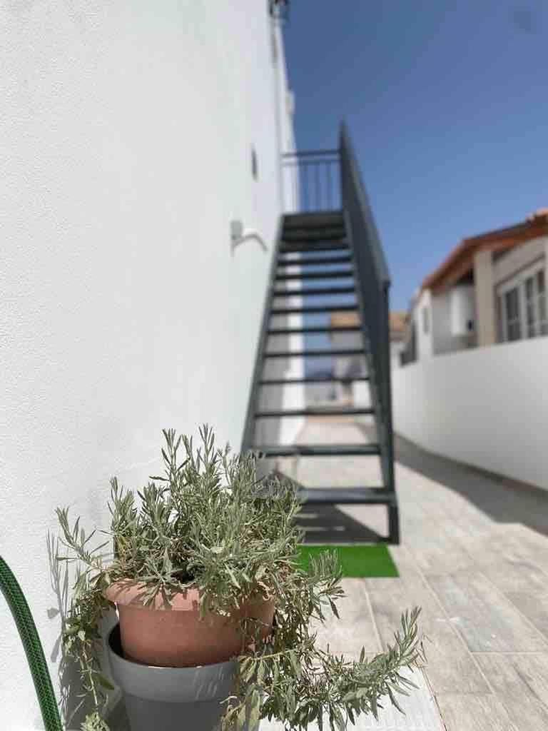 Casa Ramiro T2 Paradisiaco Entre O Mar E A Ria *