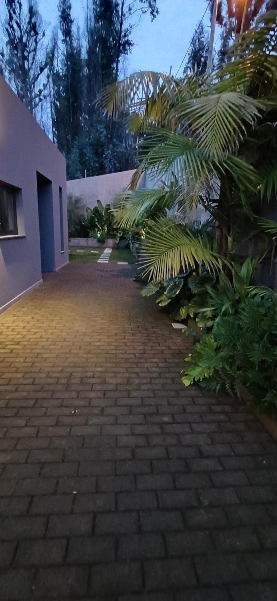 Сasa de vacaciones Casa Da Arvore