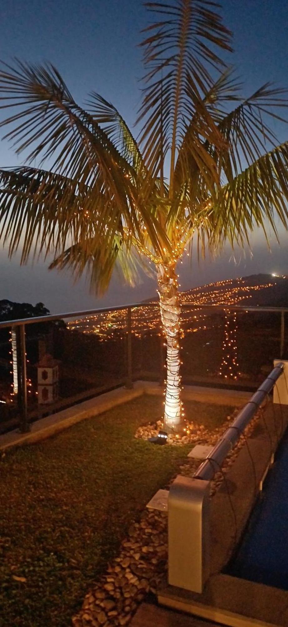 Сasa de vacaciones Casa Da Arvore *