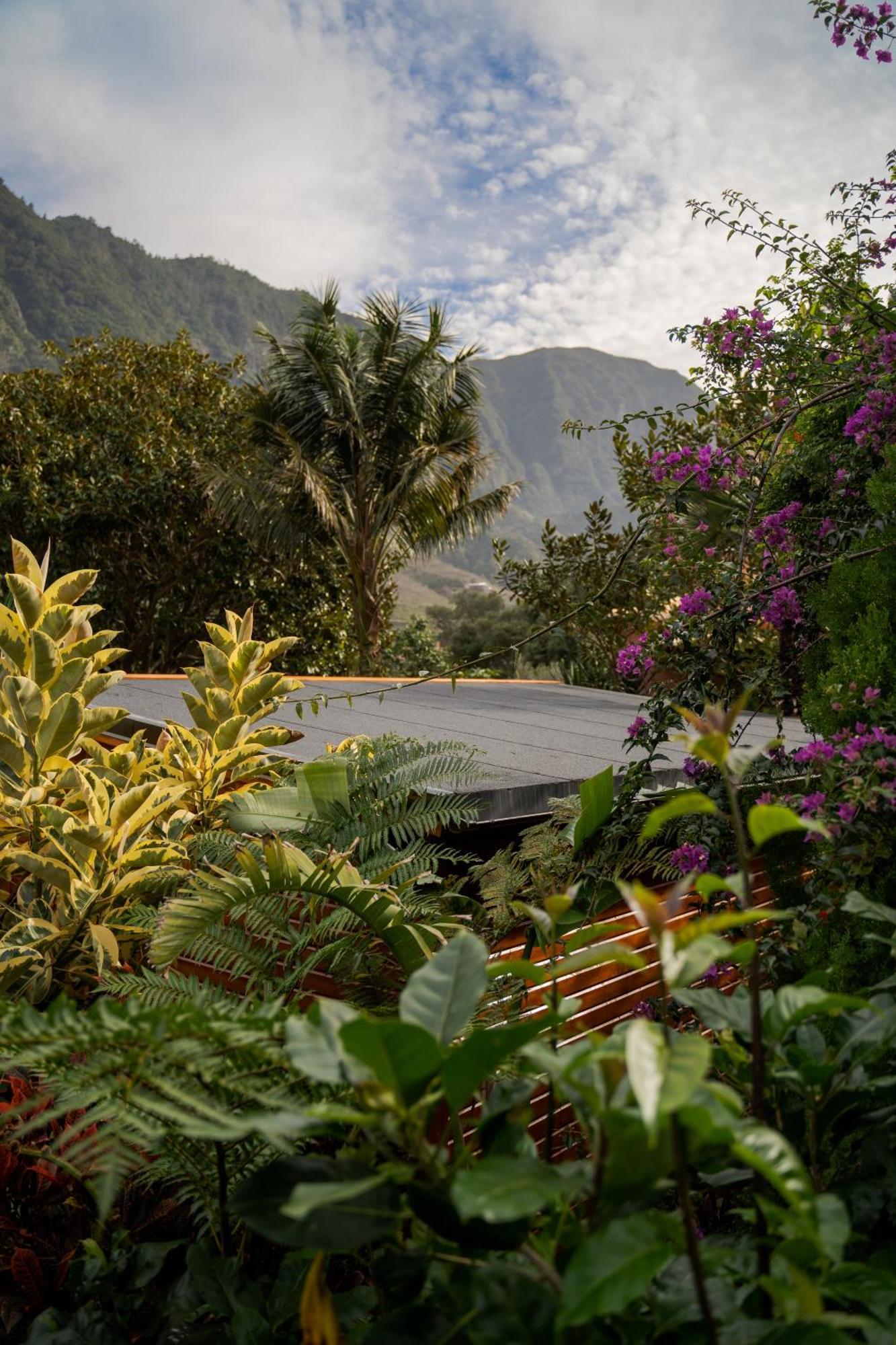 Guest house Madeira Surf 2*