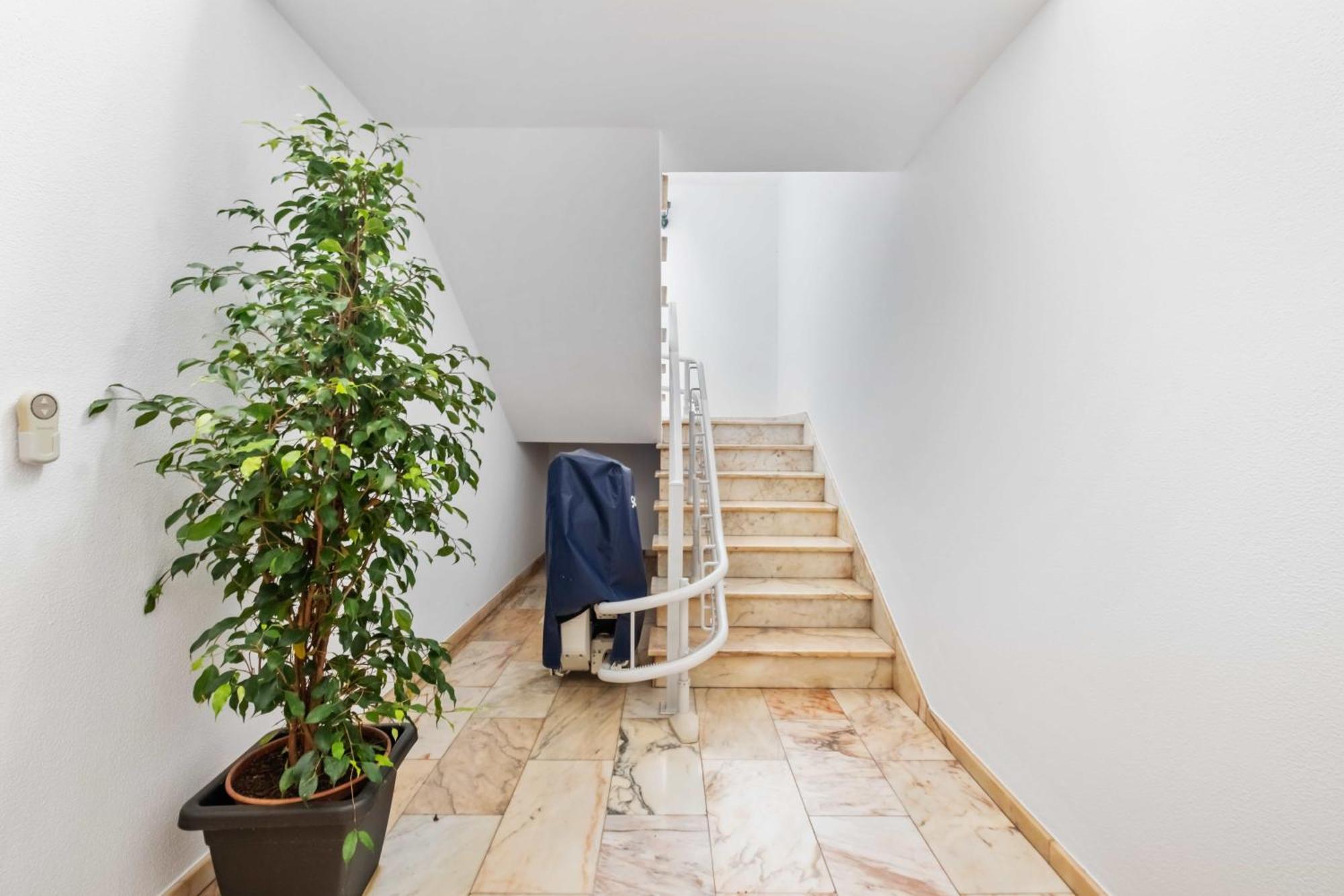 Casa Dos Leoes Holiday home