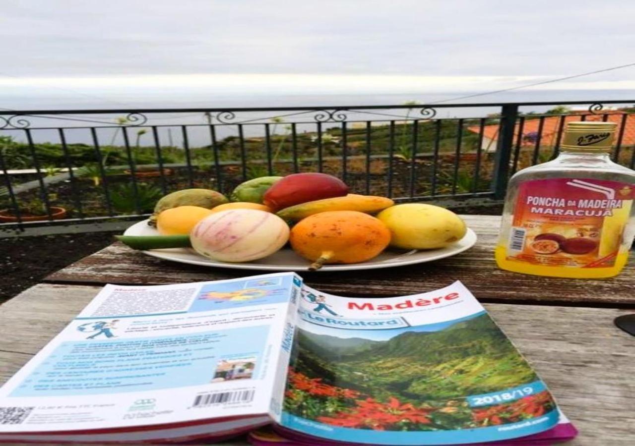 Paraiso Flores Holiday home