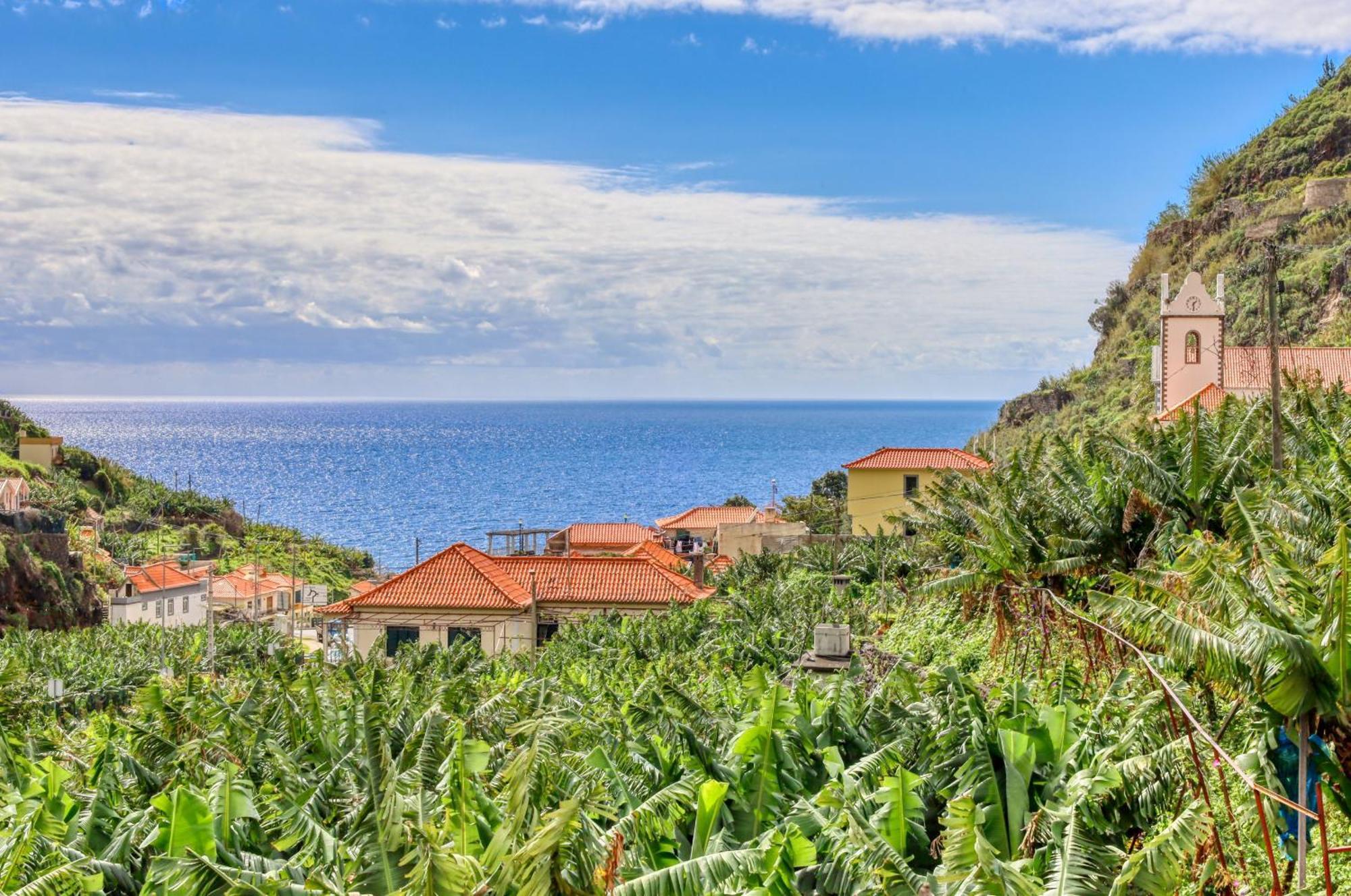 Casa Da Praia, A In Madeira Ribeira Brava