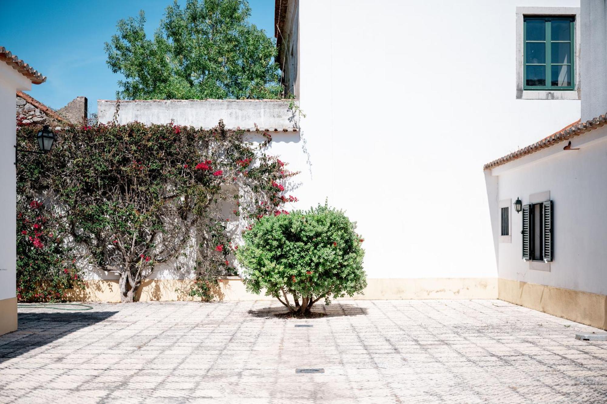 Casa De Calhariz Villa *