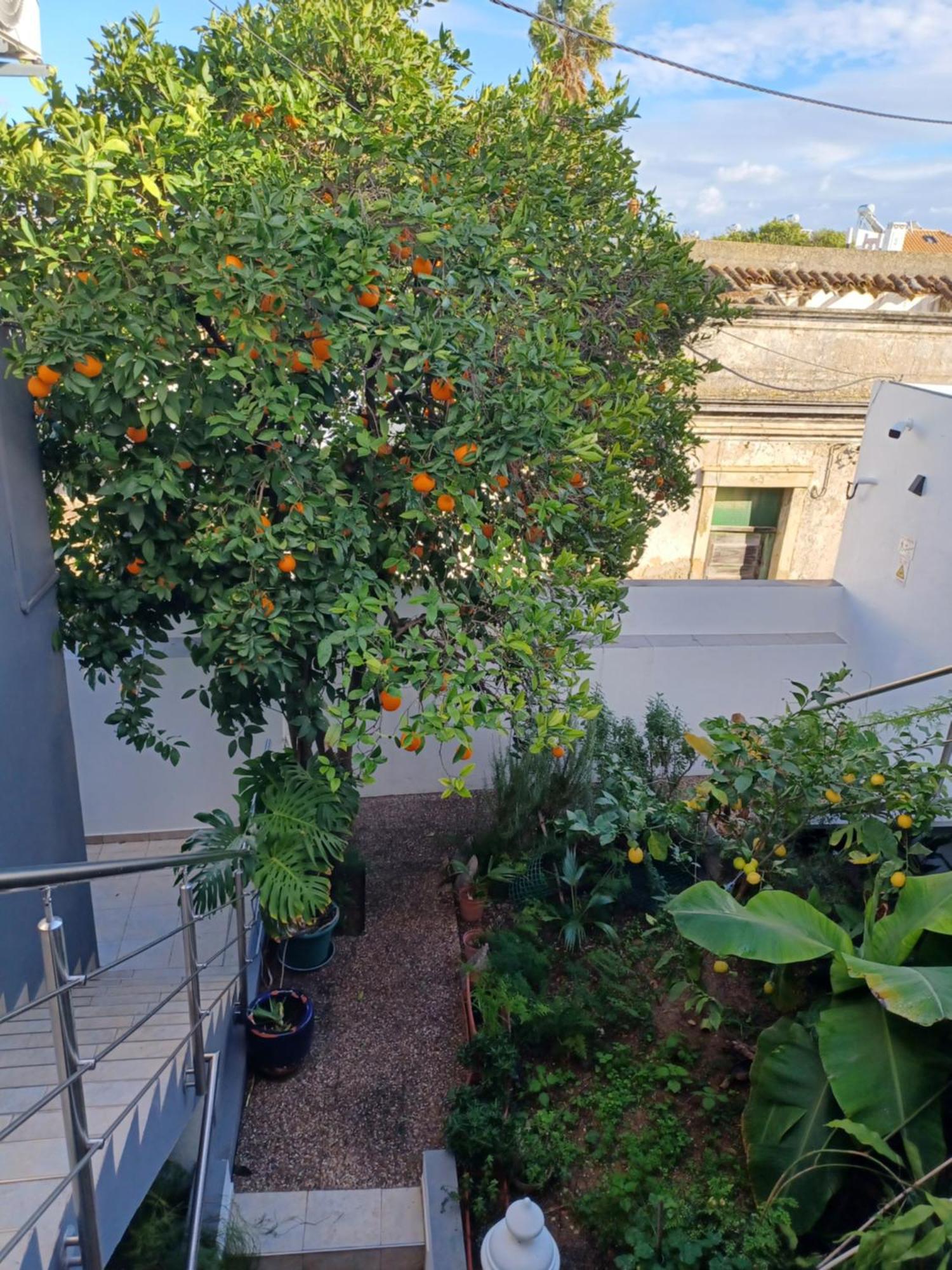 Cerro E Mar Apartment *