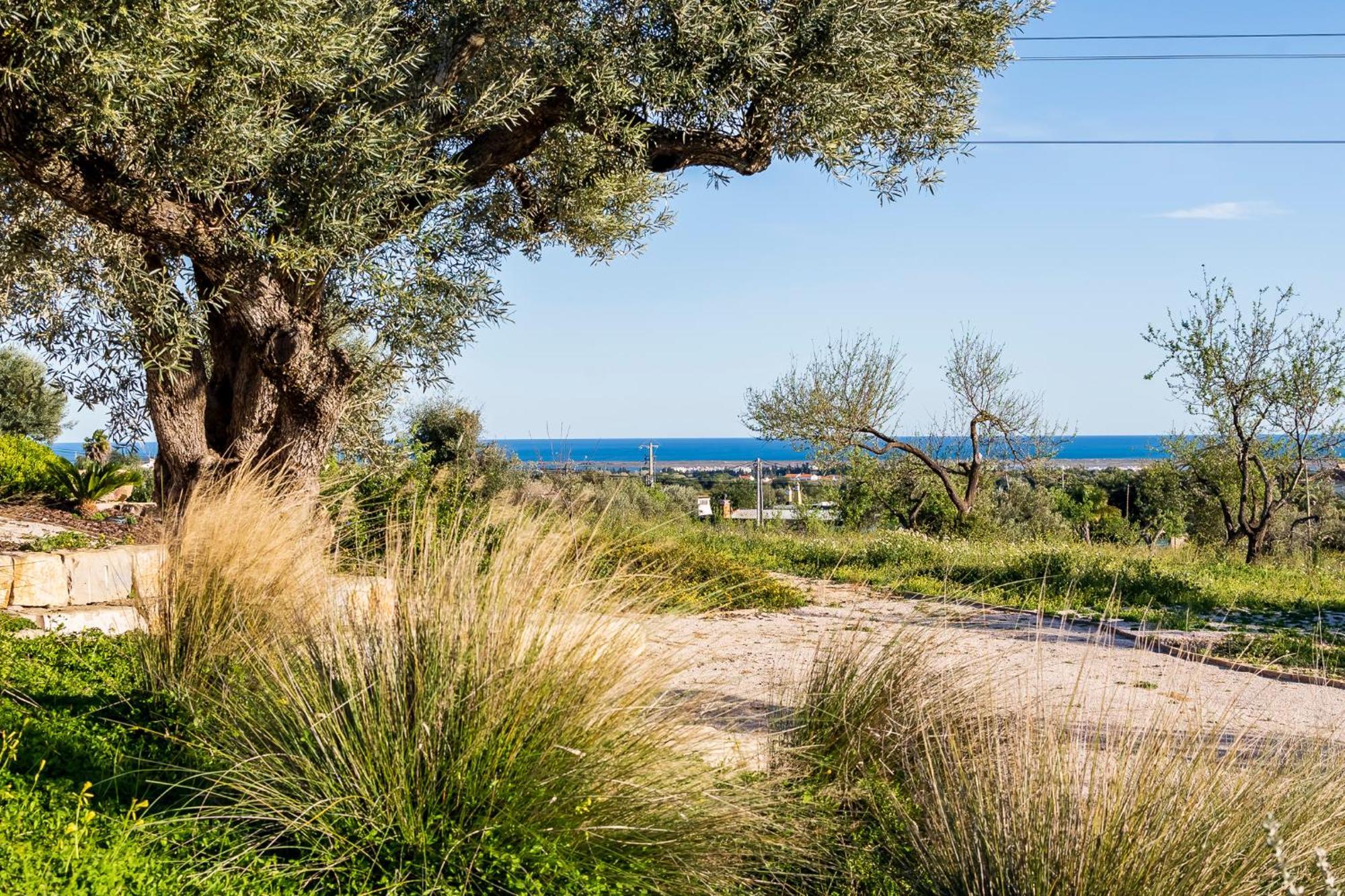 Quinta Da Baleeira Сasa de vacaciones Tavira