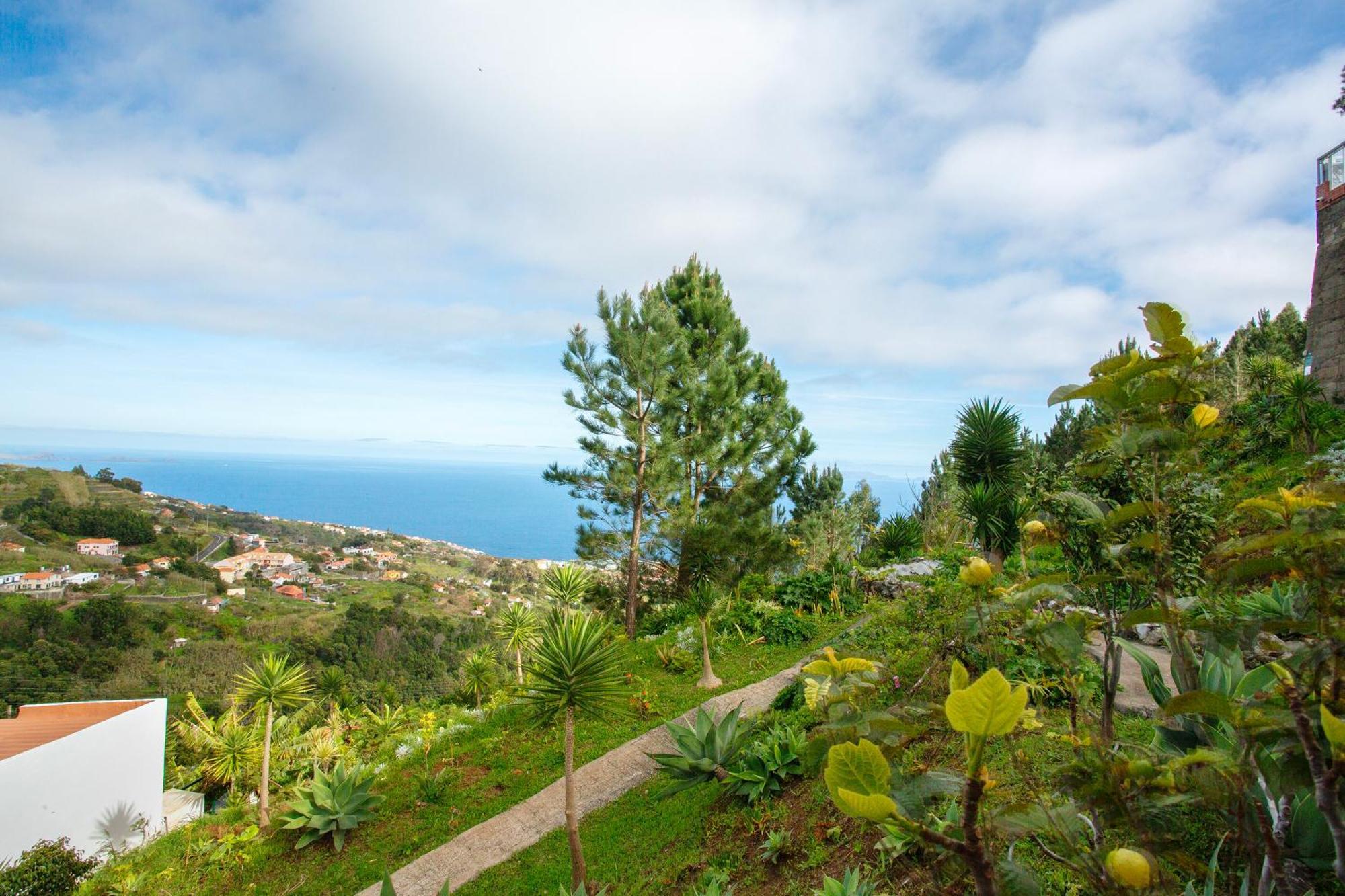 House Inmountain * Canico (Madeira)