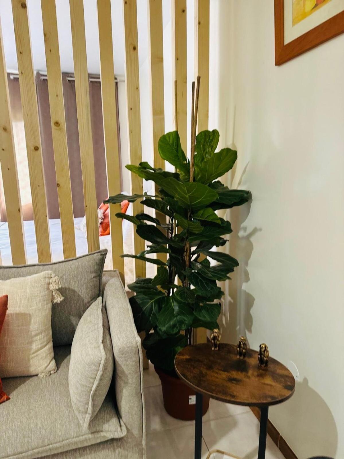 Holiday home Dani House - Boho Dream House