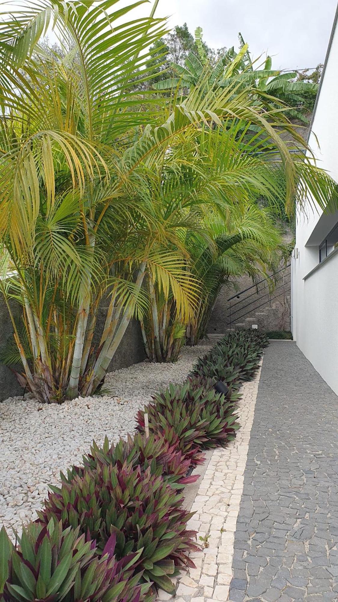 Villa Brava Atlantico *