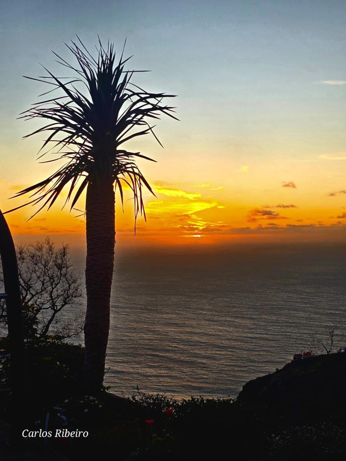Sunset Refuge Apartment *
