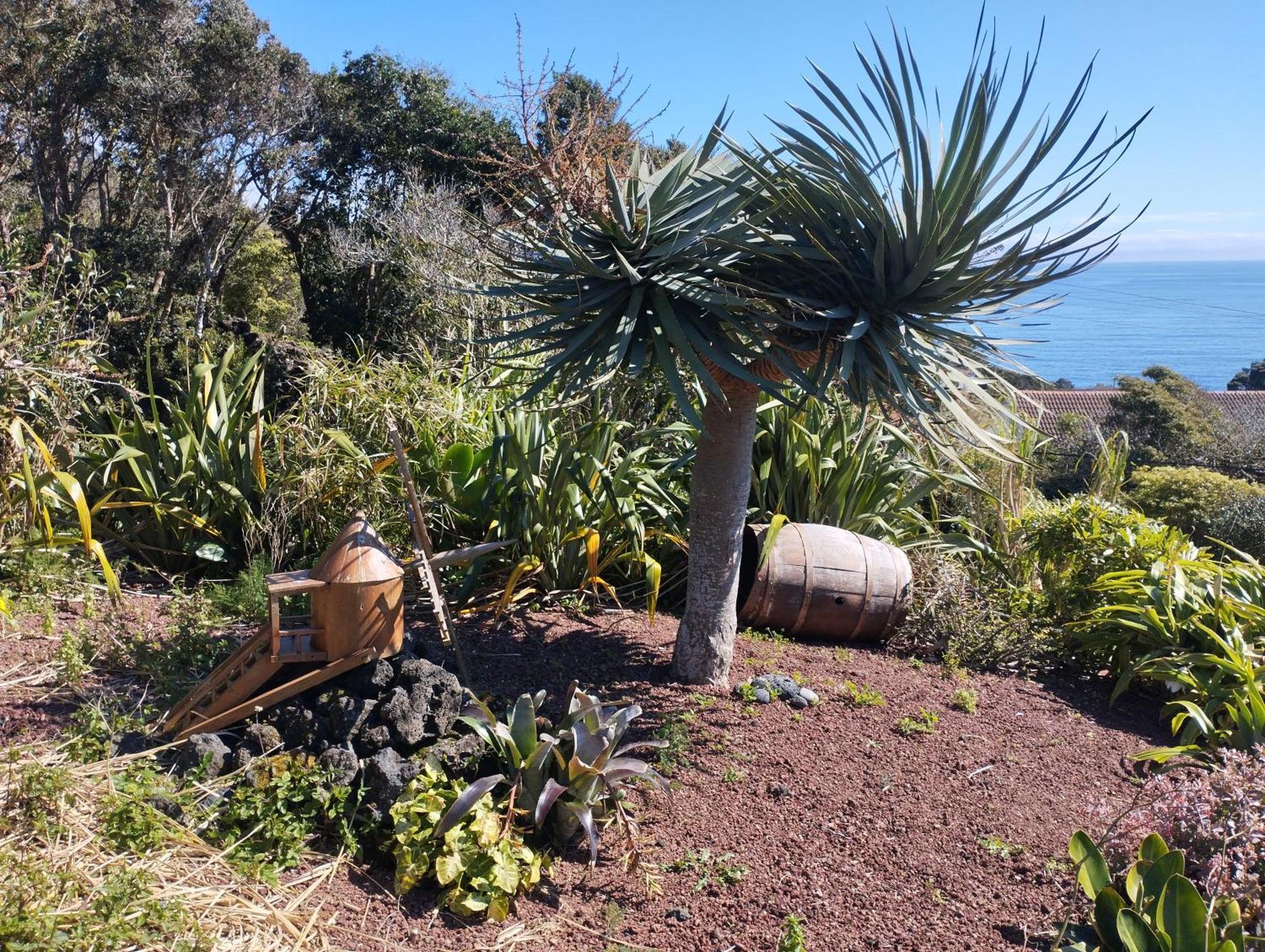 Lobo Do Mar Holiday home