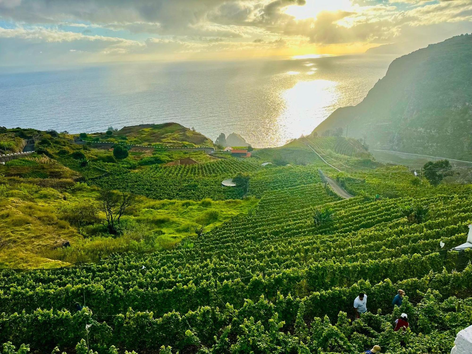 Dani House - Porto Moniz Escape Holiday home Porto Moniz