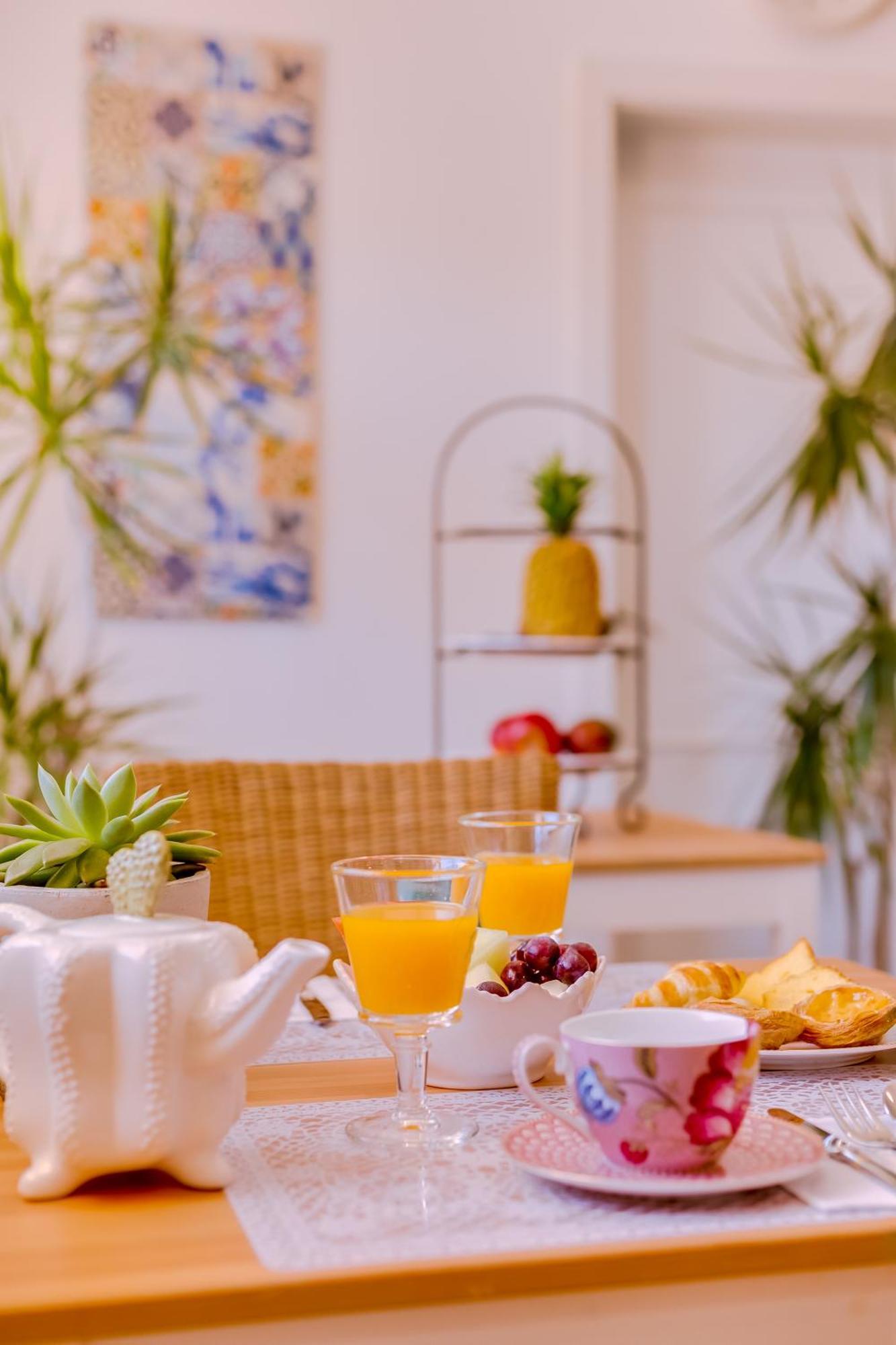 Quinta Almargem Lusitano - Farm stay
