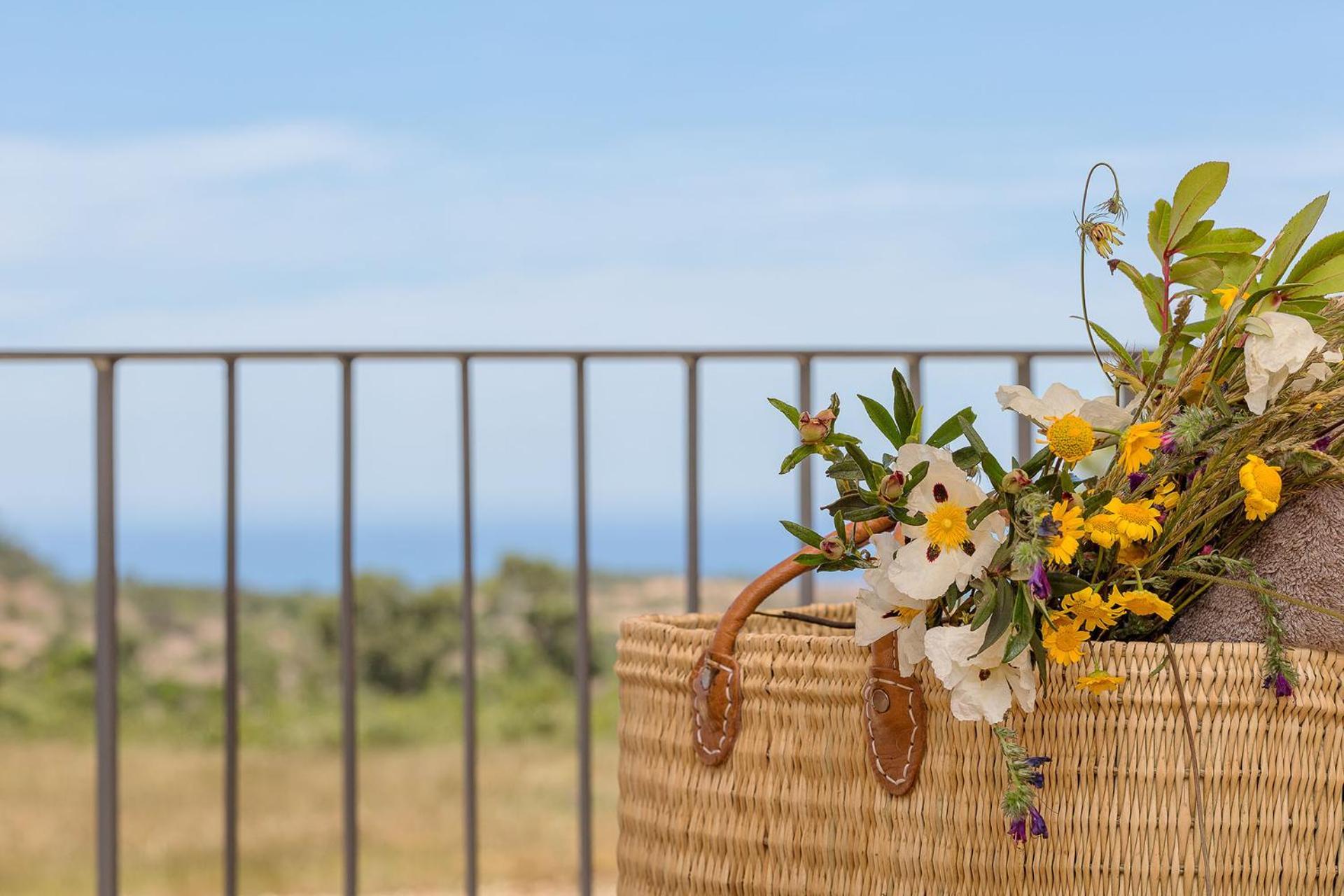 Do Canal Nature Retreat - Small Luxury Of The World Aljezur