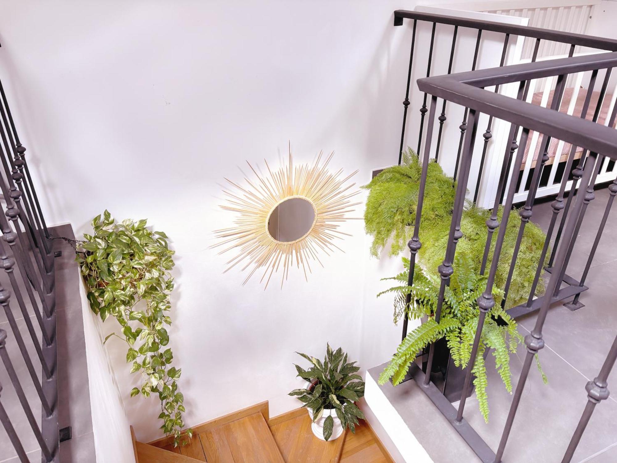 Angela's Loft Holiday home Ribeira Brava