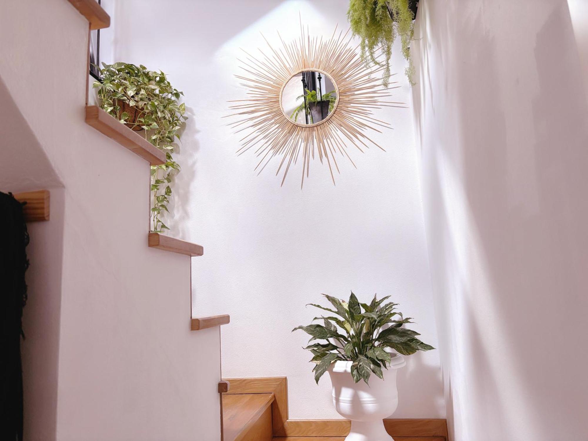 Angela's Loft Ribeira Brava