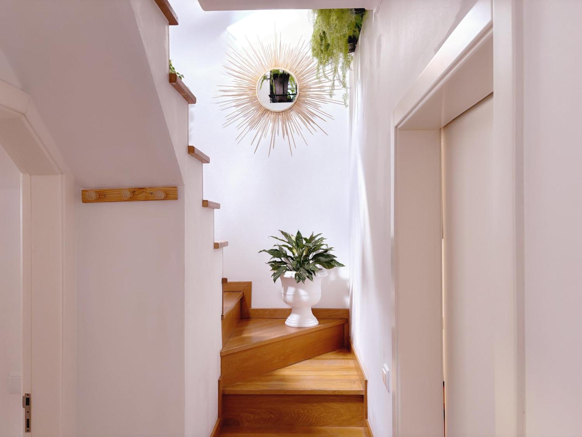 Angela's Loft * Ribeira Brava