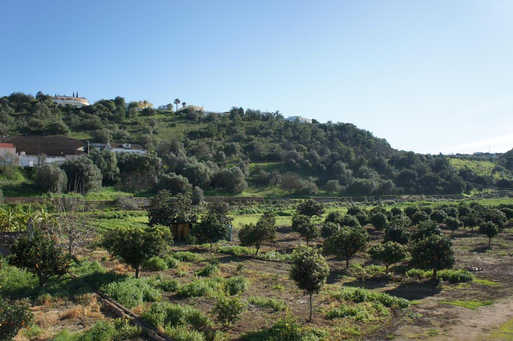 Horta Grande 2*