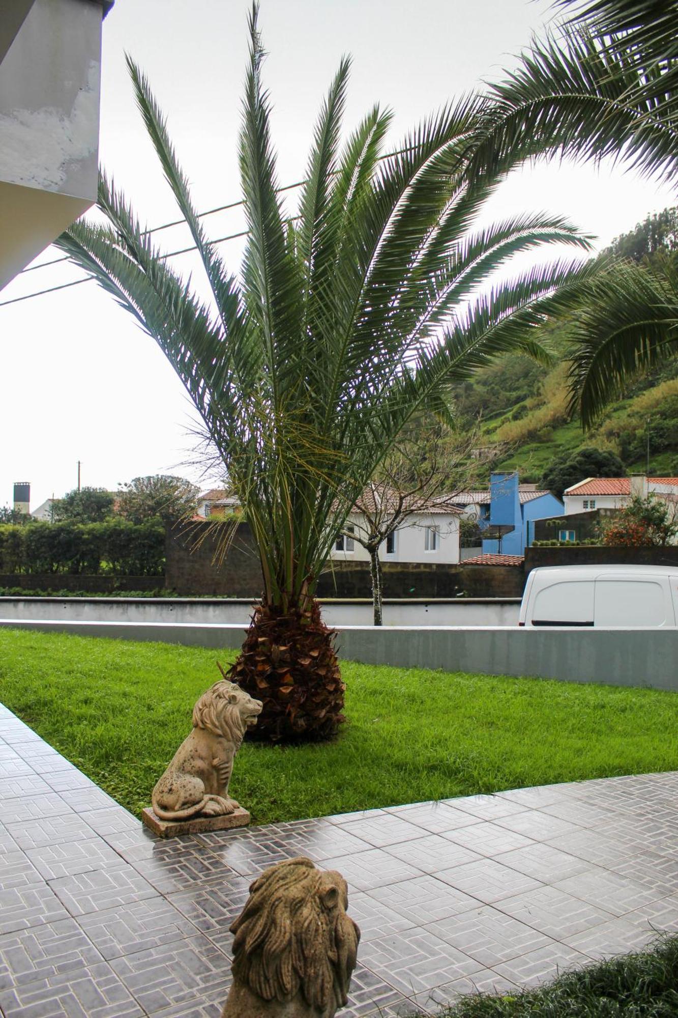 Holiday home Waterfall House Faial da Terra