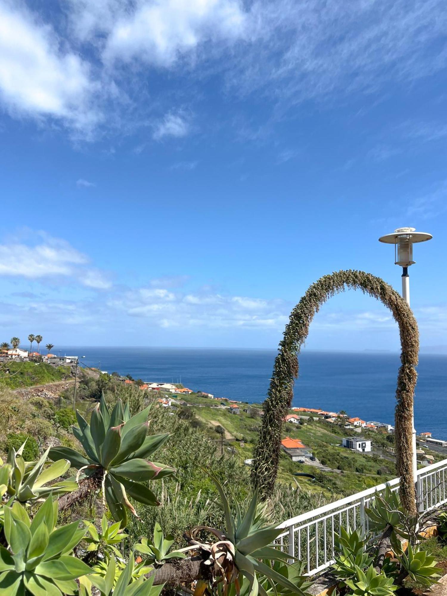 The Pink - Holidays In Madeira Island * Canico (Madeira)