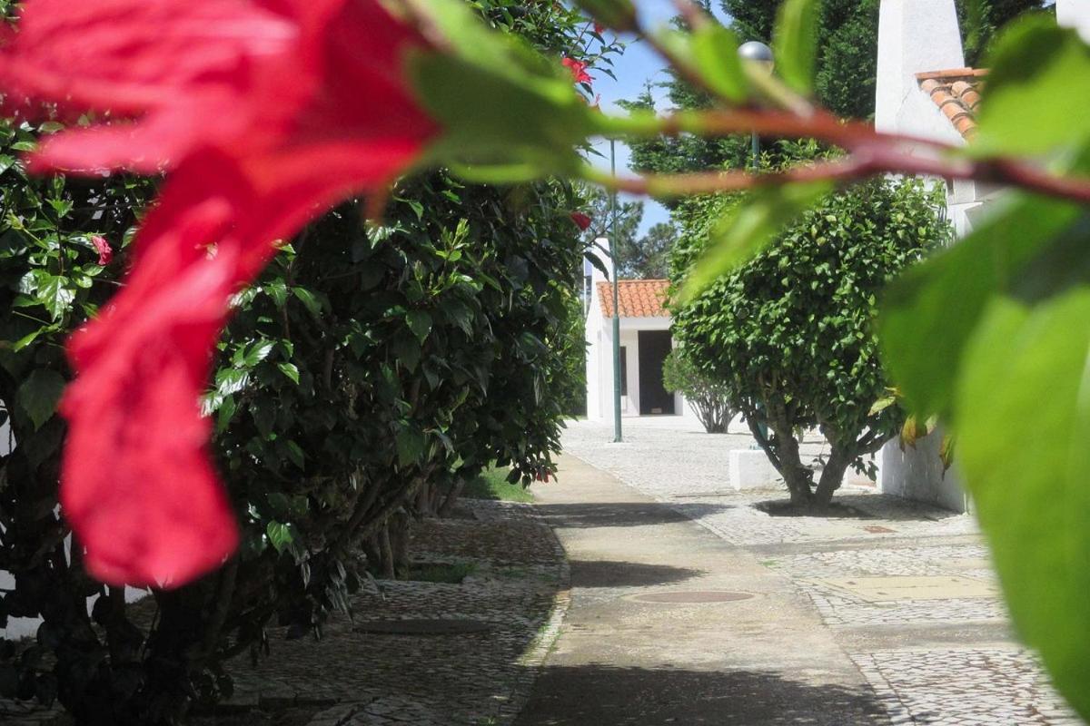 Aldeia Da Falesia Apartamento Albufeira